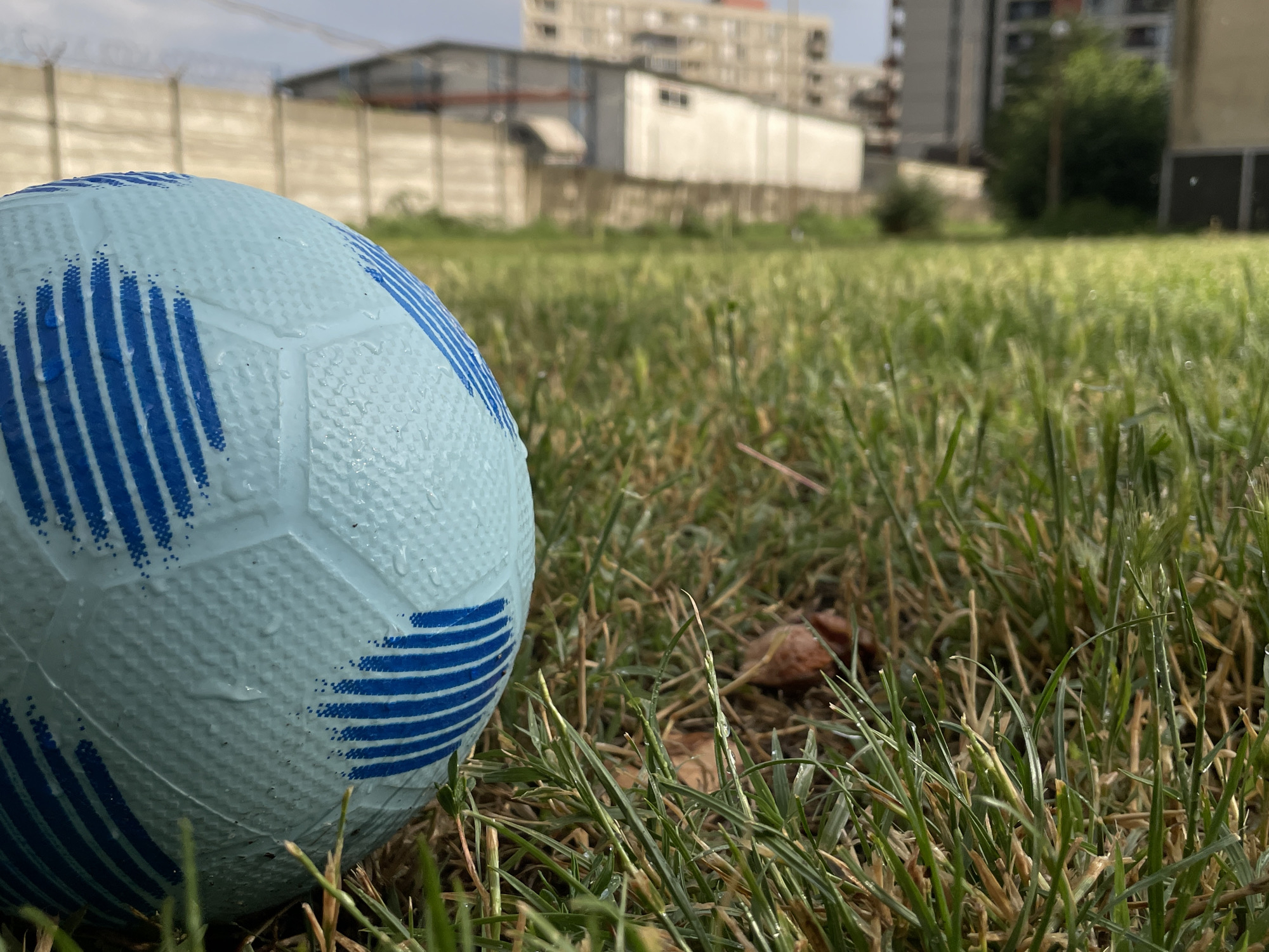 A light blue soccer ball with blue stripes lies in the grass in a close-up shot. The ball is wet, with visible water droplets on its surface. The grass is green and somewhat overgrown, with some dry patches and fallen leaves. In the background, a chain-link fence is visible, and behind that, there are buildings. The buildings appear to be apartment complexes and industrial structures. The sky is cloudy. The scene is likely an outdoor recreational area or an undeveloped lot within a city. The image does not contain any people or specific identifying markers of Timișoara, Romania.