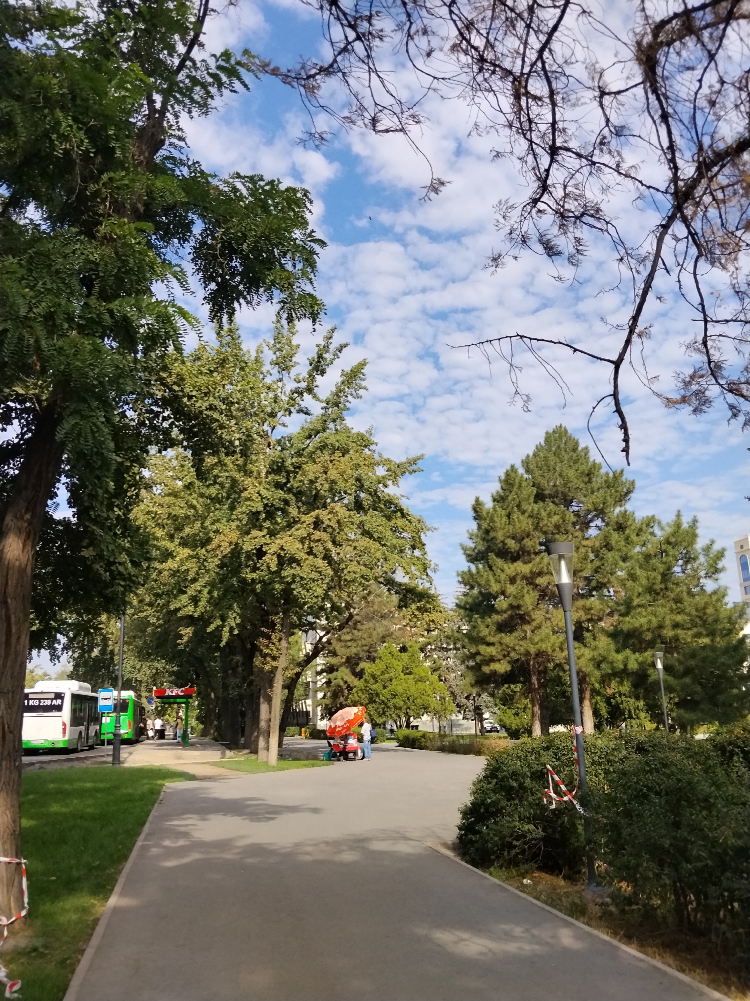 The image depicts a street scene in Bishkek City, Kyrgyzstan. In the foreground, a paved walkway runs along the left side, bordered by a grassy area and trees. Further back, a paved path leads into a park-like setting with more trees. Several people are visible in the mid-ground. To the left, two buses are parked on the side of a road; one is white with a green stripe and the license plate "1 KG 239 AR." A green bus is also present. A KFC restaurant sign is visible above a small building. In the park area, a person with a red umbrella is operating a mobile food cart. The sky is blue with scattered white clouds. The overall environment suggests a public space within the city, likely a park or boulevard, with elements of urban transportation and commercial activity.