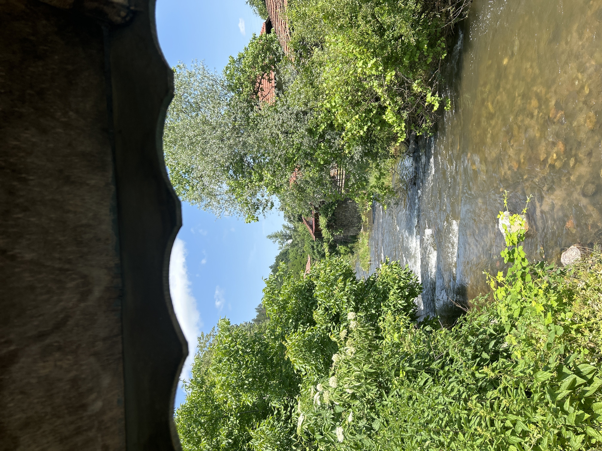 The image presents a serene natural landscape viewed through a dark, carved, wooden or stone archway or frame that partially obscures the bottom and left edges. A shallow river or stream flows from left to right across the middle ground, its clear, brownish-green water revealing rocks and pebbles on the riverbed. Patches of white froth indicate a moderate current.
Both banks of the river are densely covered in lush green vegetation. On the left bank, a prominent tree with light green, almost white foliage (possibly in bloom) stands tall, partially obscuring a red-tiled roof of a building nestled among other trees. More green bushes and shrubs, some with small white flowers, line the river's edge. The right bank also features thick green bushes and plants, with some climbing vines. Further into the background on the right, what appears to be a stone wall and more red-tiled roofs are visible through the foliage.
The sky above is bright blue with a few scattered white clouds, indicating clear weather. The strong sunlight suggests it is midday or early afternoon. No people or visible text are present. The overall scene evokes a sense of natural tranquility and rustic beauty, likely in a rural or semi-rural setting.