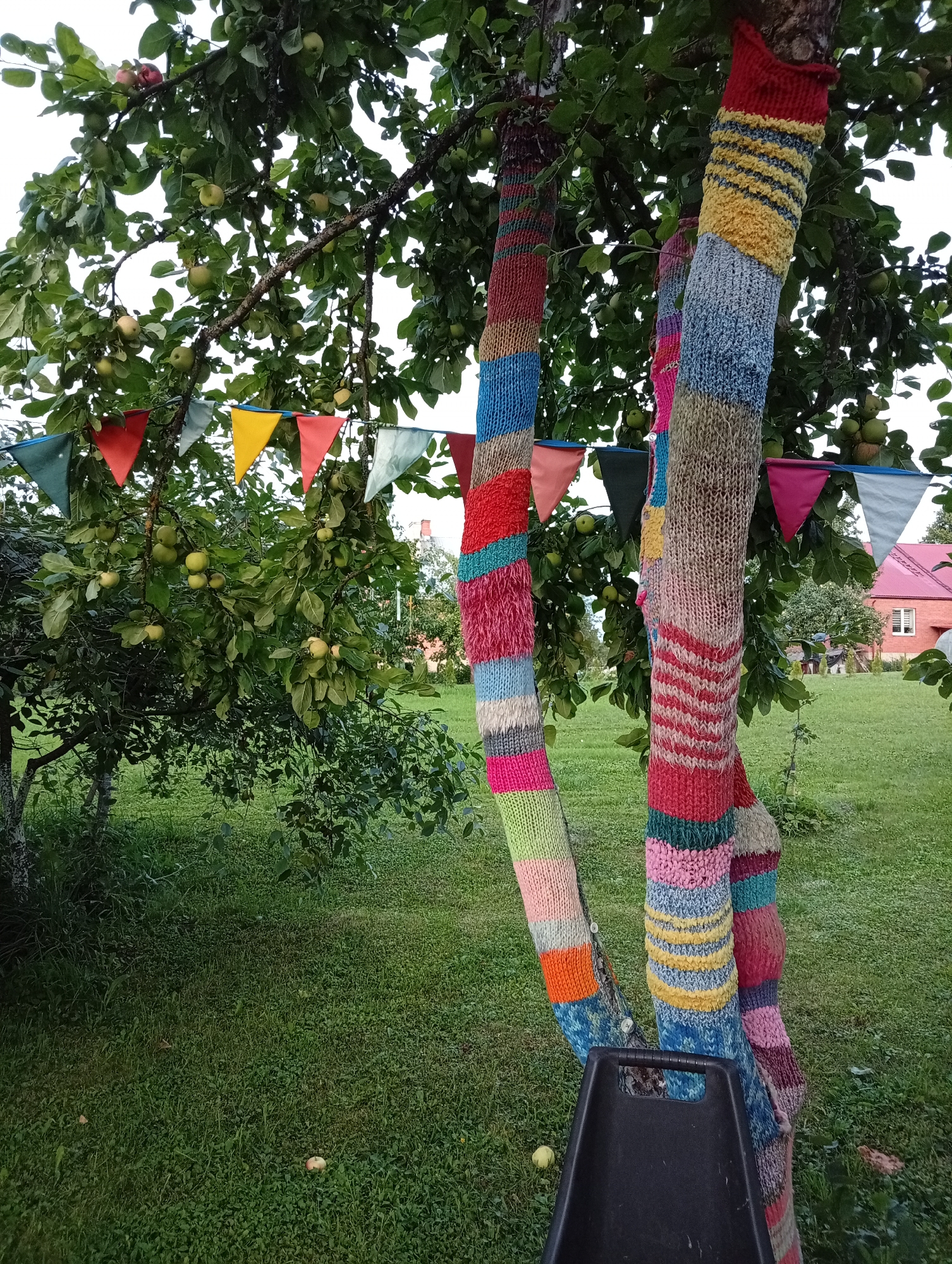 An outdoor, medium-shot photograph, taken from a low angle, depicts an apple tree with its trunk and lower branches adorned with colorful knitted coverings. The tree is situated in a grassy yard, likely in Blonti, Latvia, given the context. Small, green apples are visible on the tree's branches, and some have fallen to the ground. A string of triangular pennant flags in various colors, including red, yellow, blue, and green, hangs across the branches. In the background, a red-roofed building with a visible window is present. A black plastic chair with a handle is partially visible in the foreground, positioned in front of the tree. The overall scene suggests a whimsical and decorative outdoor setting.