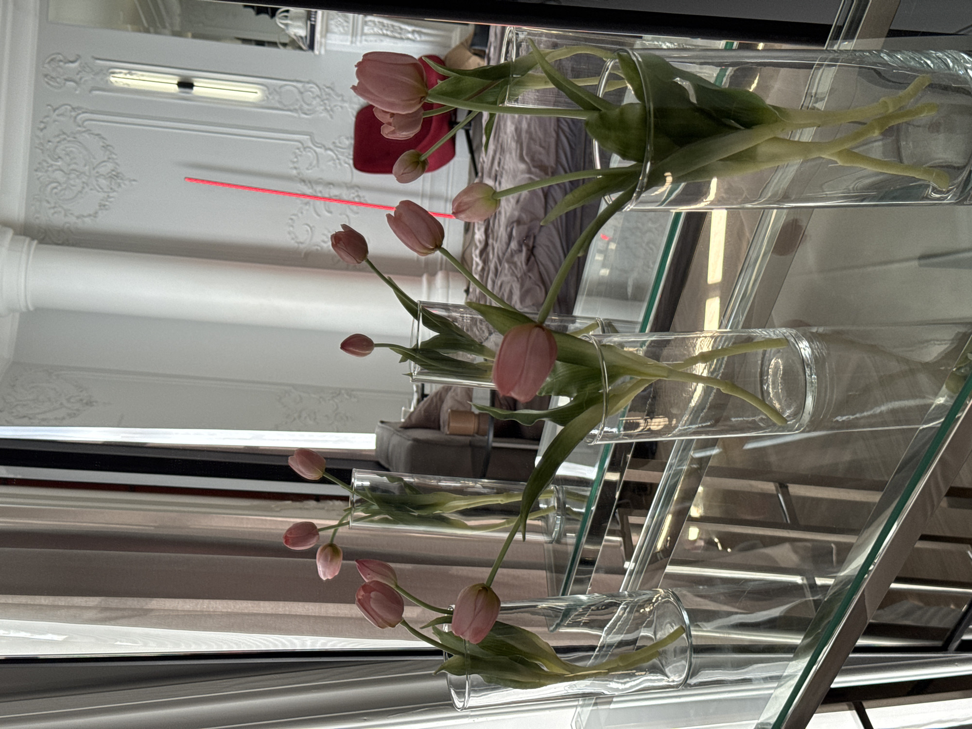A still life photograph depicts pink tulips arranged in clear glass vases on a mirrored surface. The tulips are positioned at varying heights and angles, with some showing buds and others partially opened. The background is a reflection in a mirror, revealing a room with ornate white moldings on the walls, a white column, a red chair, and a bed with a grey textured cover. A thin, bright red vertical line, possibly a laser pointer or light, is visible in the reflected background. The overall aesthetic suggests an indoor, likely domestic, setting in Saint Petersburg, Russia, characterized by a blend of classical and contemporary design elements.