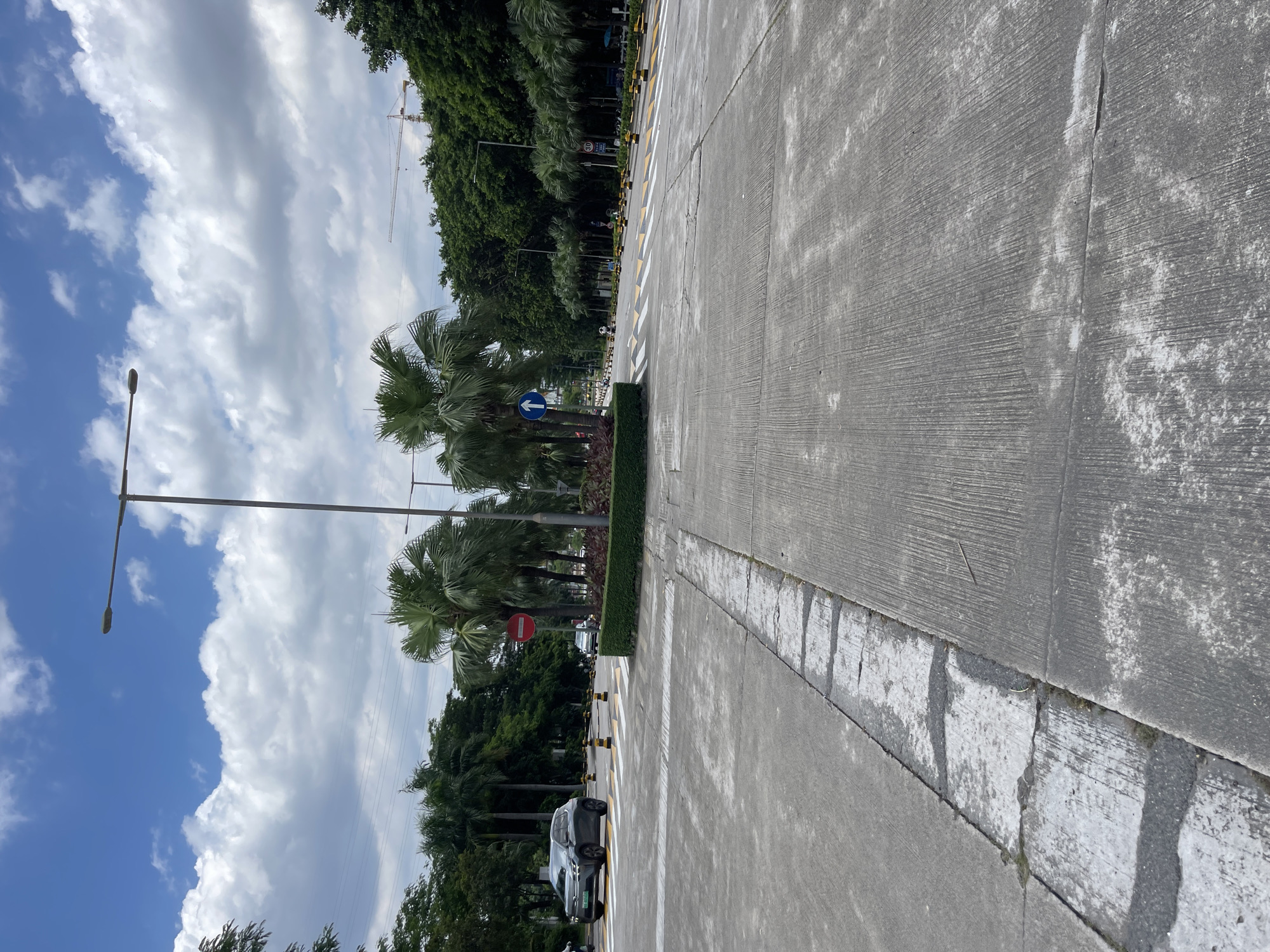 A wide shot captures a concrete road in Panyu District, China, with a central median featuring palm trees and a hedge. The road has white and yellow markings indicating lanes and pedestrian crossings. A dark gray SUV drives on the left side of the road. In the background, lush green trees line the sides of the road, and a light blue sky with scattered clouds is visible above, with a construction crane in the far distance. Two streetlights are present, one on the left and another further down the road. There are several traffic signs and bollards along the road.