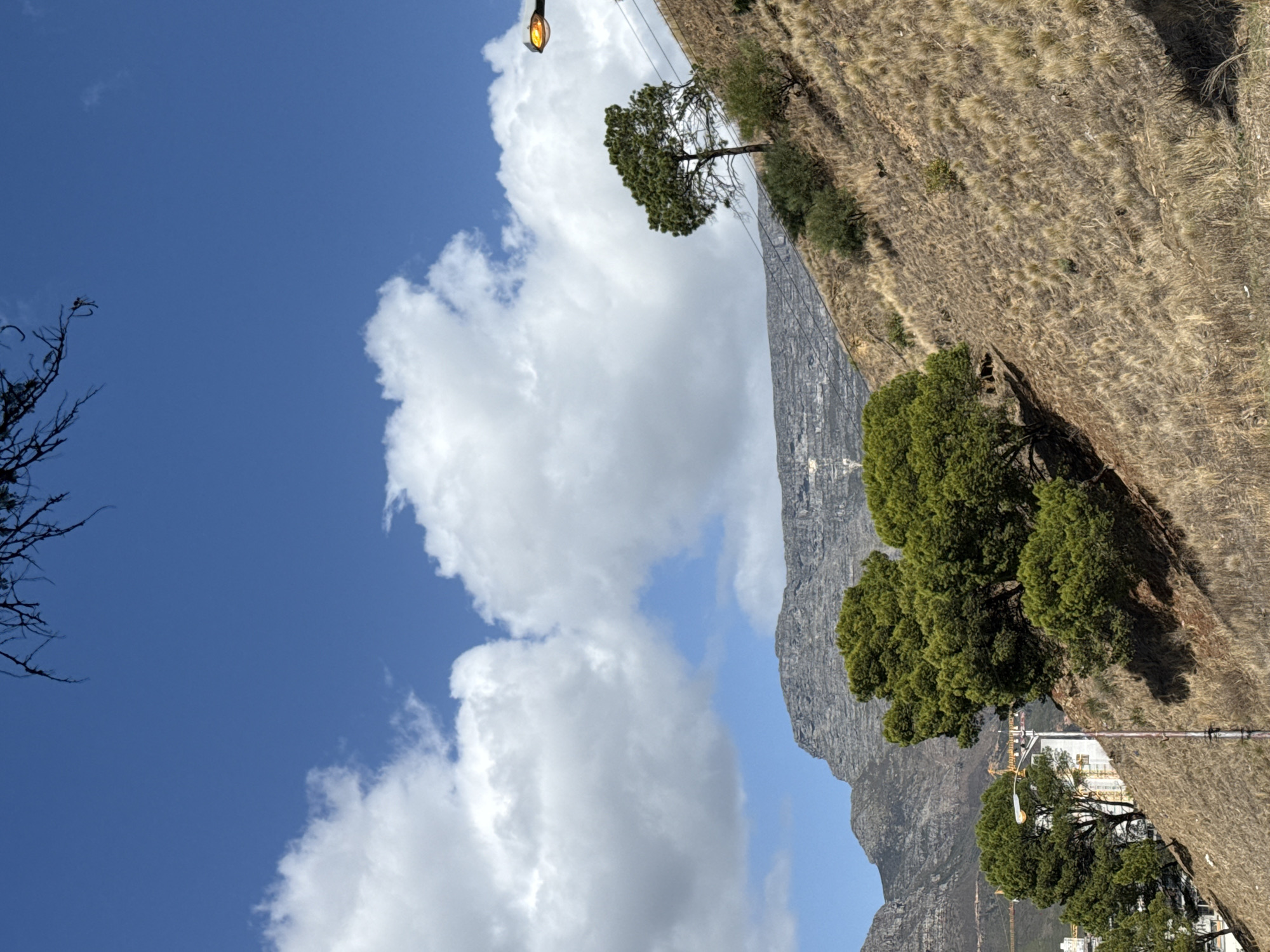 The image shows a view of Table Mountain in Cape Town, South Africa, with a clear blue sky and puffy white clouds. The mountain slopes are covered in dry vegetation. Green trees are visible on the slopes. A few buildings and streetlights are visible in the lower right.