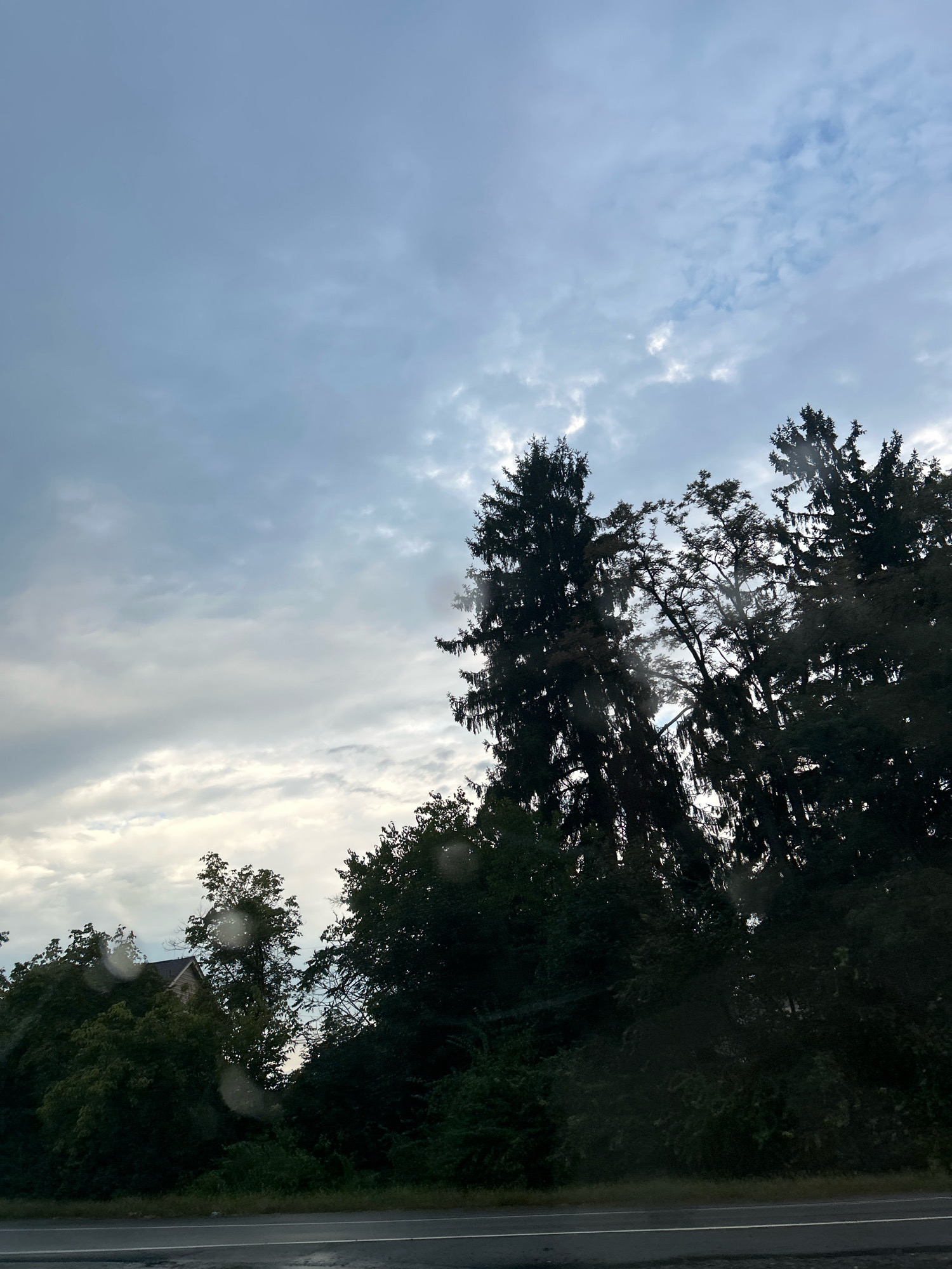 An overcast sky with scattered clouds hangs over a dense line of trees that border a road. The trees, primarily evergreens and deciduous species, are silhouetted against the sky. In the distance, a house with a brown roof is partially visible through the foliage. The road in the foreground is paved and appears wet, suggesting recent rainfall. The scene captures a natural landscape adjacent to a residential area.
