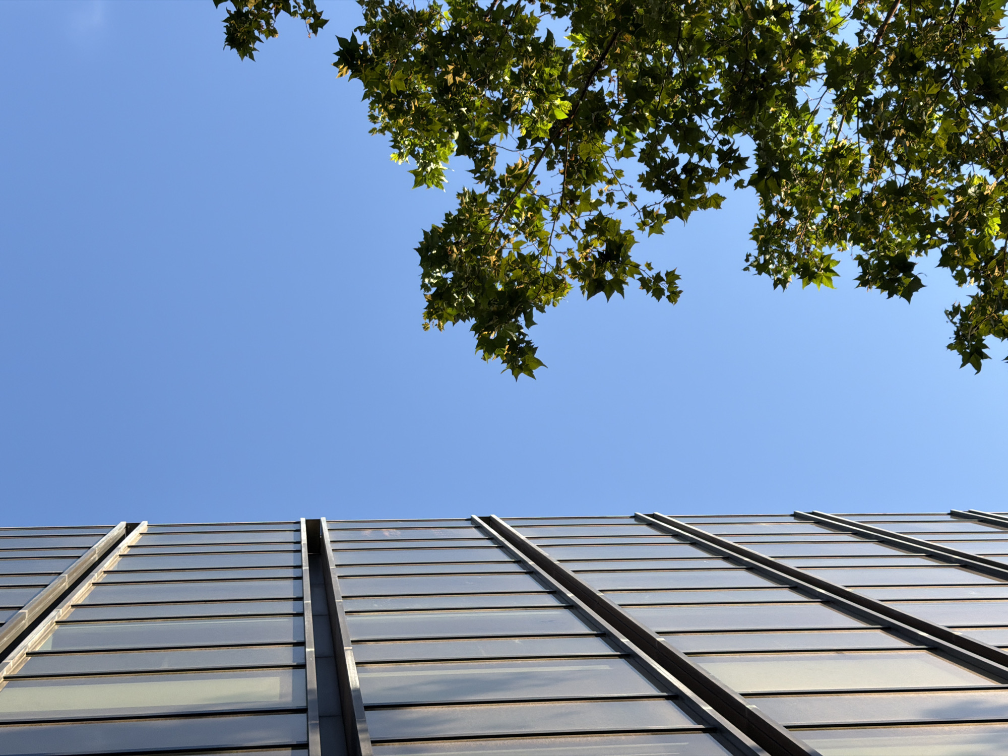 The image captures an upward-looking perspective, showcasing a clear blue sky, green tree foliage, and a modern architectural structure. The top portion of the frame is dominated by a vibrant, cloudless blue sky. Overhanging from the upper edge and extending into the top-center are numerous branches adorned with lush green leaves, likely from a large deciduous tree. The leaves appear well-lit, suggesting bright daylight.
The lower half of the image features a striking building facade or roof, composed of a series of rectangular glass panels. These panels are arranged horizontally and are framed by dark metal strips, creating a rhythmic pattern. The structure angles diagonally from the lower left to the lower right, with prominent, thicker metal beams running across its surface. The glass panels reflect the environment, showing subtle variations in light and shadow, indicating the material's reflective quality.
The scene is set outdoors during what appears to be a clear and sunny day, given the bright illumination and the deep blue of the sky. There are no people visible, and no specific activity is taking place beyond the static view of the environment. While the location context is provided as Barcelona, Spain, there are no specific landmarks or text within the image itself to confirm this. The architecture, however, is consistent with modern urban environments found in cities like Barcelona.