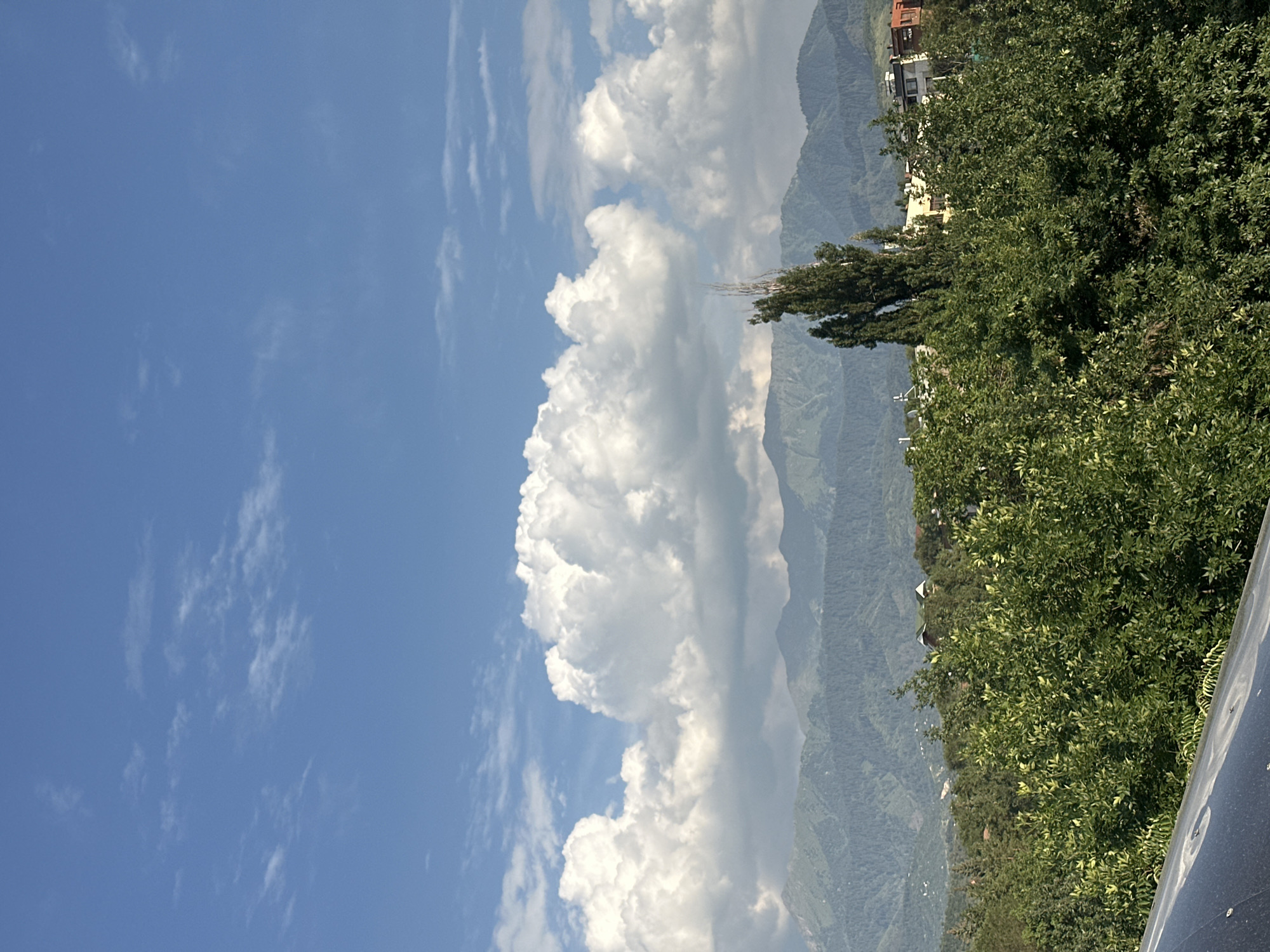 The image shows a bright, sunny day with a clear blue sky dotted with fluffy white clouds. In the middle ground, a range of green mountains recedes into the distance, their peaks softened by haze. In the foreground, lush green trees and foliage create a dense, leafy barrier. A tall, slender tree stands out against the mountain backdrop, its dark green needles contrasting with the lighter greens of the surrounding vegetation. Some buildings are visible peeking through the trees, suggesting a suburban or semi-rural setting. The overall impression is one of natural beauty and tranquility, with hints of human habitation integrated into the landscape. This scene likely depicts a location in Almaty, Kazakhstan, a city known for its proximity to the Tian Shan mountains.
