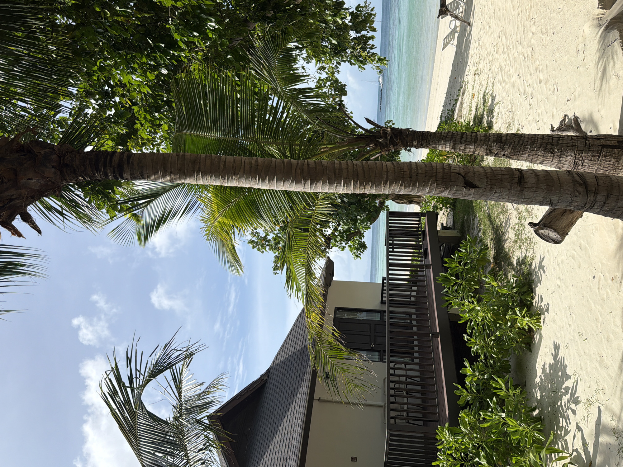 The image depicts a tropical beach scene in Ao Nang, Thailand. In the foreground, two palm trees stand prominently, with their rough bark and fronds silhouetted against a bright sky. To the left, a portion of a white building with a dark, sloping roof is visible. This building has a wooden deck in front of it, complete with a dark wooden railing and some chairs. Green foliage grows around the base of the deck.
The middle ground features a white sandy beach leading to a calm, turquoise ocean. The water is clear, and a sailboat can be seen in the distance, anchored near a jetty. Two white lounge chairs are placed on the sand, suggesting a resort or hotel setting.
The background is dominated by the bright blue sky with scattered white clouds. The overall impression is one of a serene tropical paradise.