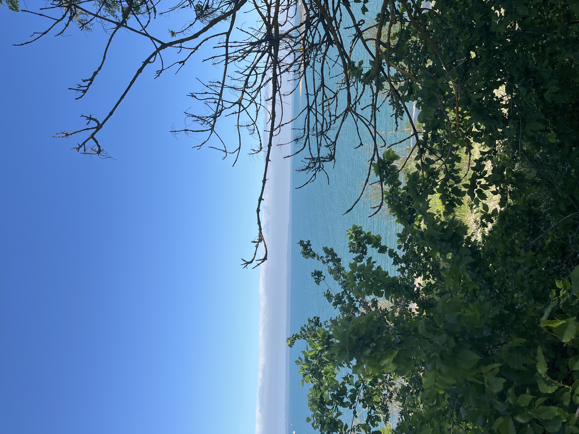 The image presents a vertical view of a landscape, combining natural elements. The composition is divided into three primary sections. The top third features a clear blue sky, contrasted by bare tree branches extending into the frame. The middle third is characterized by a horizontal band of water, appearing turquoise in color, with a narrow strip of white along the horizon possibly indicating a cloud bank or mist. The bottom third displays green foliage from trees, framing the scene and obscuring the immediate foreground. No people, subjects, objects, or specific actions are identifiable in the image. The location is specified as Unknown, Unknown.