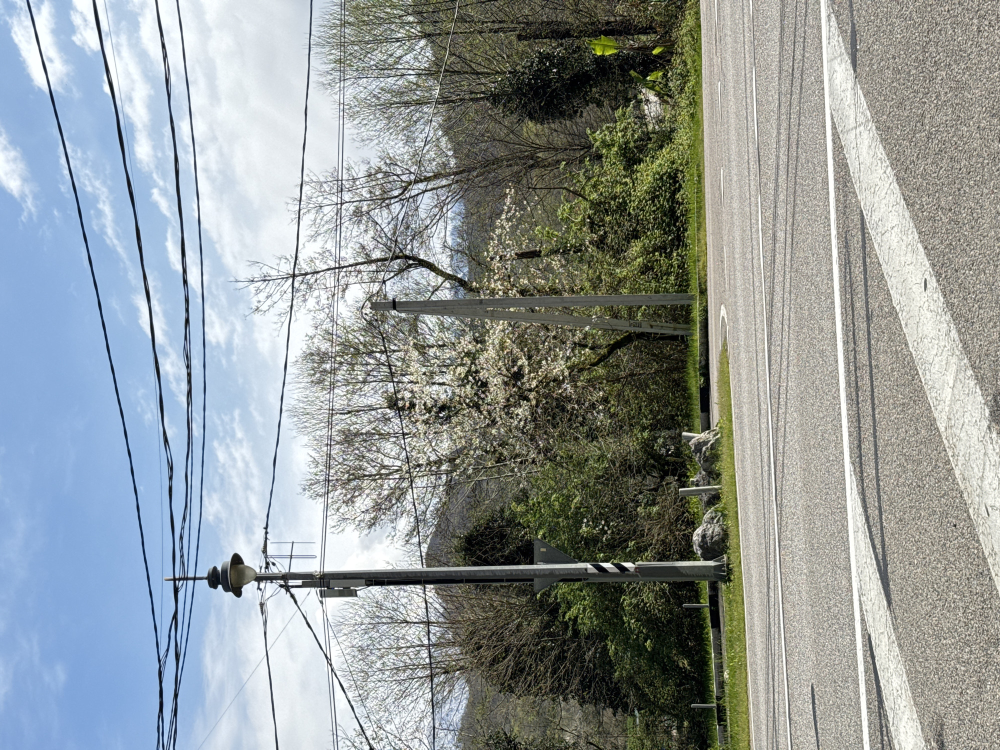 The image depicts a rural road scene. The road is made of gray asphalt and features white lane markings. To the right of the road is a verge covered in green grass and various shrubs and trees. Some small boulders are spaced along the edge of the road. On the left, a row of utility poles and power lines run parallel to the road. One of the poles has a circular structure attached to it with wires and what appears to be an antenna. Behind the trees is a hillside with a mix of bare and green trees. The sky is a mix of blue and white clouds. The scene suggests a countryside or suburban setting, but the image does not provide enough information to confirm its location in Kazachiy Brod, Russia.
