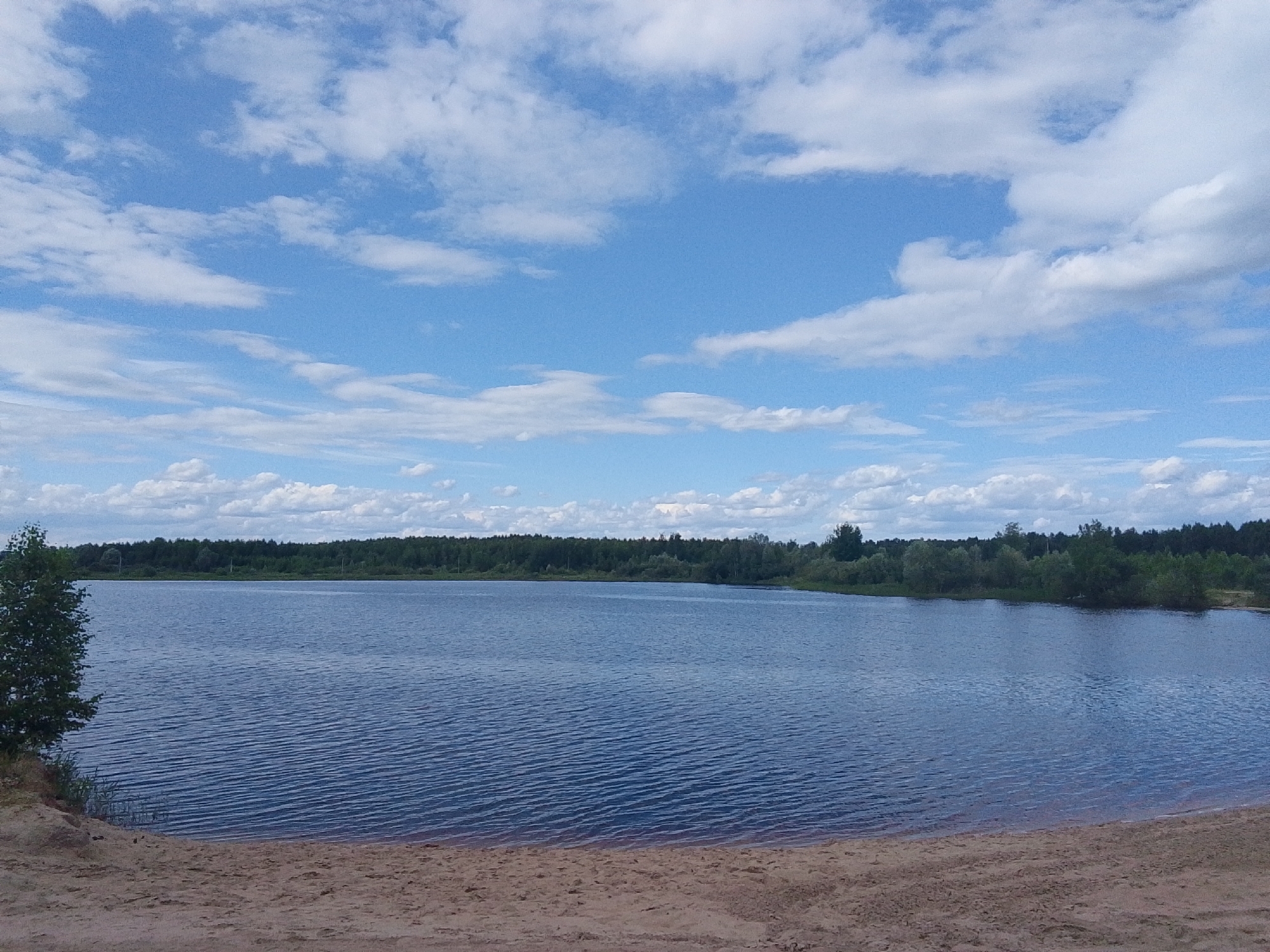 This media file depicts a serene natural landscape scene. The primary subjects are a large, calm body of water, likely a lake or wide river, and the sandy shore in the foreground. The water is a deep blue, reflecting the sky and creating a rippled texture from a gentle breeze. Along the far bank of the water, a dense line of trees forms a dark green horizon, suggesting a forest or woodland. The sky above is a vibrant blue, dotted with numerous white, fluffy cumulus clouds, indicating fair weather. The sun is high, suggesting it is daytime, likely late morning or early afternoon. The sandy beach in the foreground is a light brown and appears mostly undisturbed, with some faint footprints or texture variations. On the left side of the frame, a lone, leafy green tree stands on the edge of the embankment, providing a touch of vibrant color against the water and sky. There is no visible text or human activity in the image. The overall impression is one of peacefulness and natural beauty.