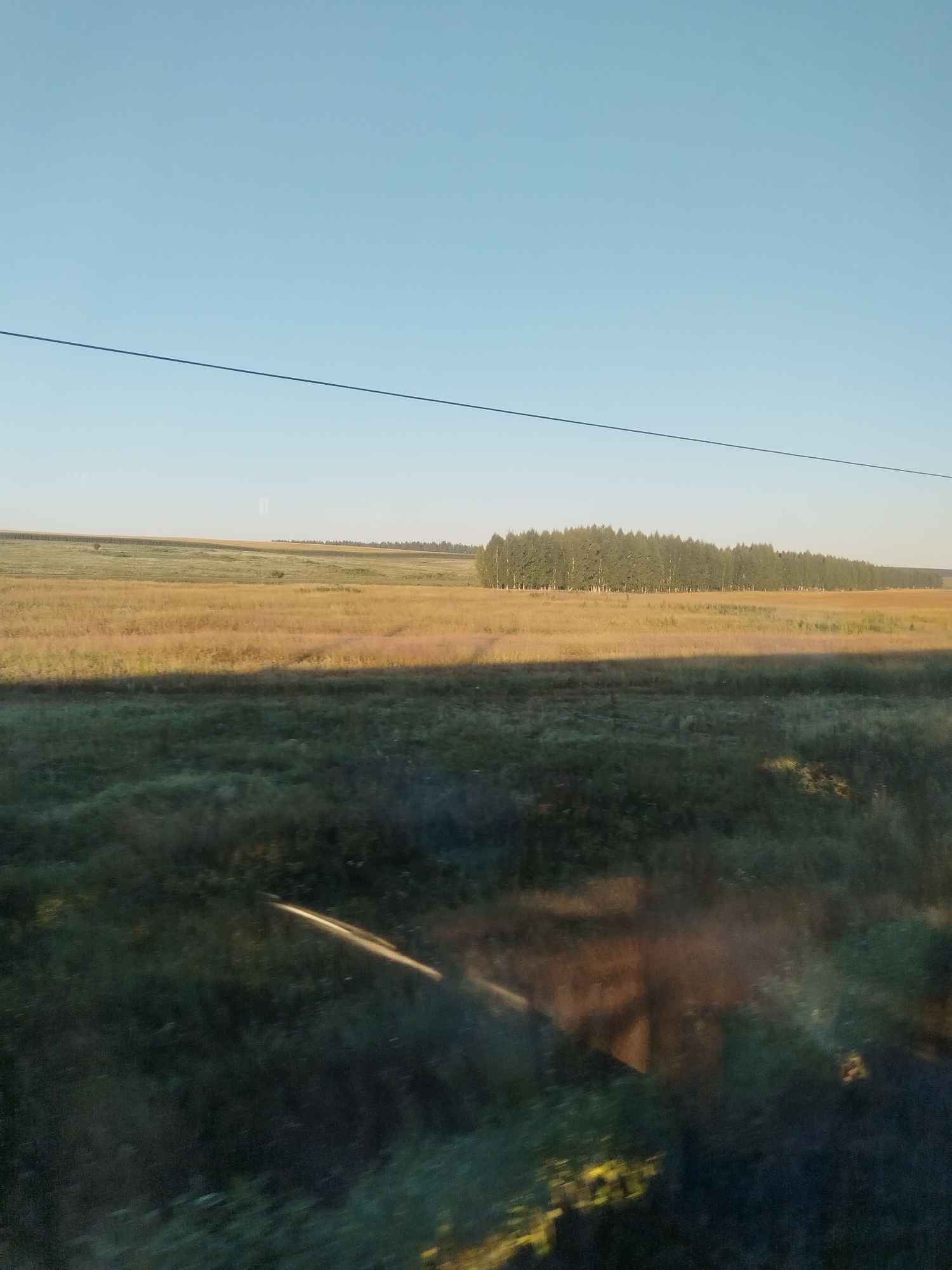 The image depicts a vast, open field under a clear blue sky, likely in the vicinity of Zaglyadino, Russia. The foreground is dominated by a dense, dark green grassy area, appearing somewhat blurred, with reflections of light and possibly a shadow cast across it. Further into the middle ground, the terrain transitions to a lighter, golden-hued field, suggesting crops or dry grass, which slopes gently towards the horizon. Along the distant horizon, a line of tall, slender trees forms a dense forest. A thin, dark line, possibly a wire or cable, stretches horizontally across the upper portion of the image. The overall impression is one of a rural landscape at a time of day with clear, soft lighting.