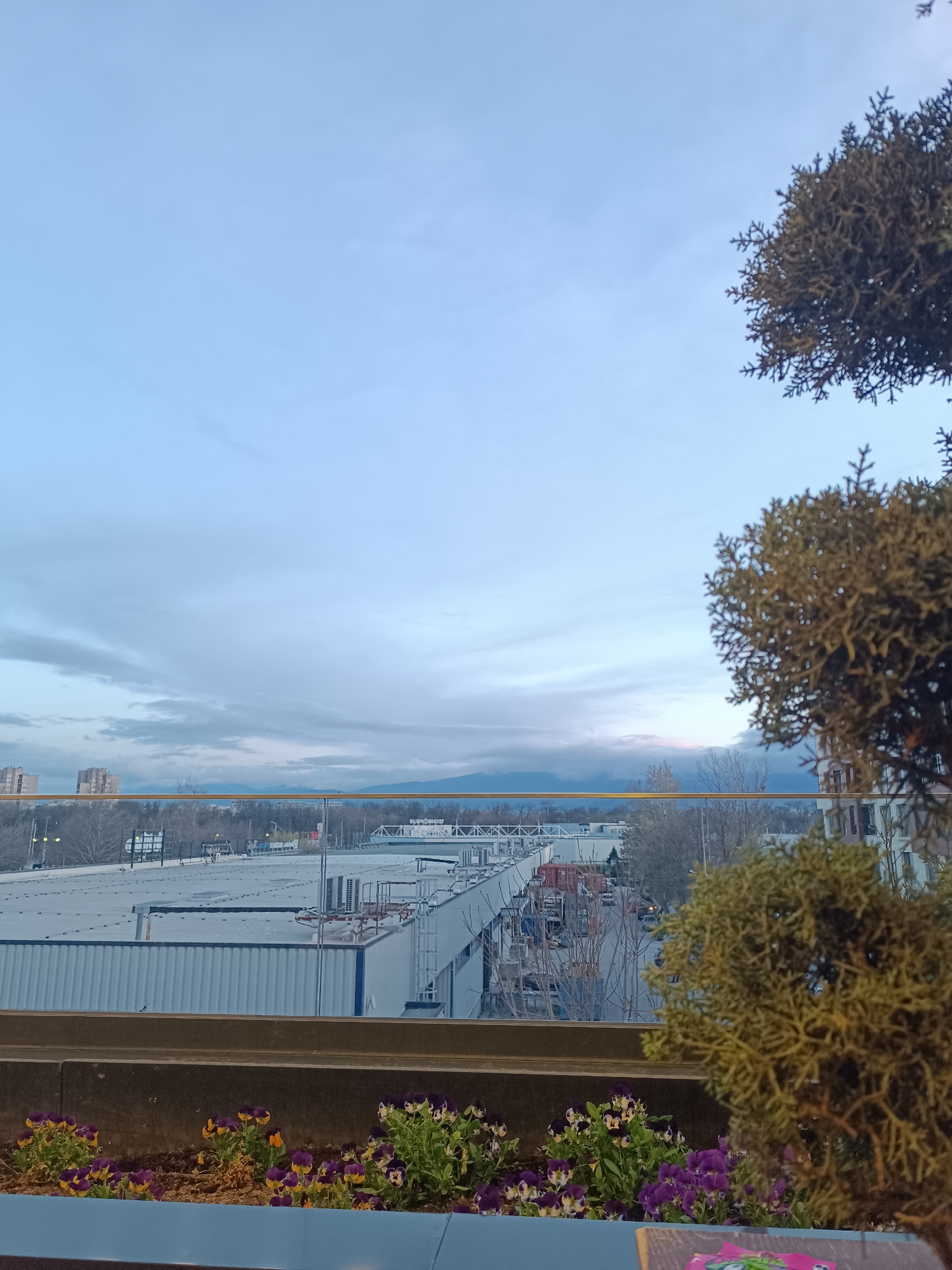 This is an exterior shot taken from a height, possibly a balcony or rooftop in Plovdiv, Bulgaria. The view is dominated by a large industrial area with several low-rise, rectangular buildings, some appearing to be warehouses or factories. The buildings are primarily white and grey, with visible ventilation systems and other rooftop structures. In the distance, a line of low mountains is faintly visible under a cloudy, overcast sky. A glass railing is present, and a planter box filled with purple and yellow pansies is positioned in the foreground. A conifer shrub is partially obstructing the view on the right side of the frame. The scene is still, with no visible human activity.