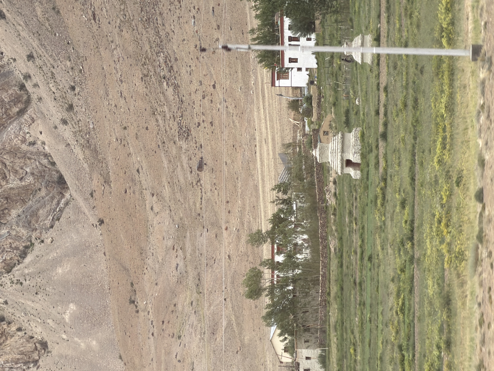 The image depicts a landscape in Stongde, India, characterized by a barren, rocky mountain slope in the background and a verdant, cultivated field in the foreground. Several structures are visible, including a cluster of white buildings with red trim, reminiscent of traditional Tibetan architecture, situated amidst a line of trees. Two small stupa-like structures, one with an open doorway, are present in the field. A thin, grey pole, possibly a utility pole, stands prominently in the right foreground, obscuring a portion of the scene. The overall impression is one of a rural settlement nestled against a dramatic mountainous backdrop.