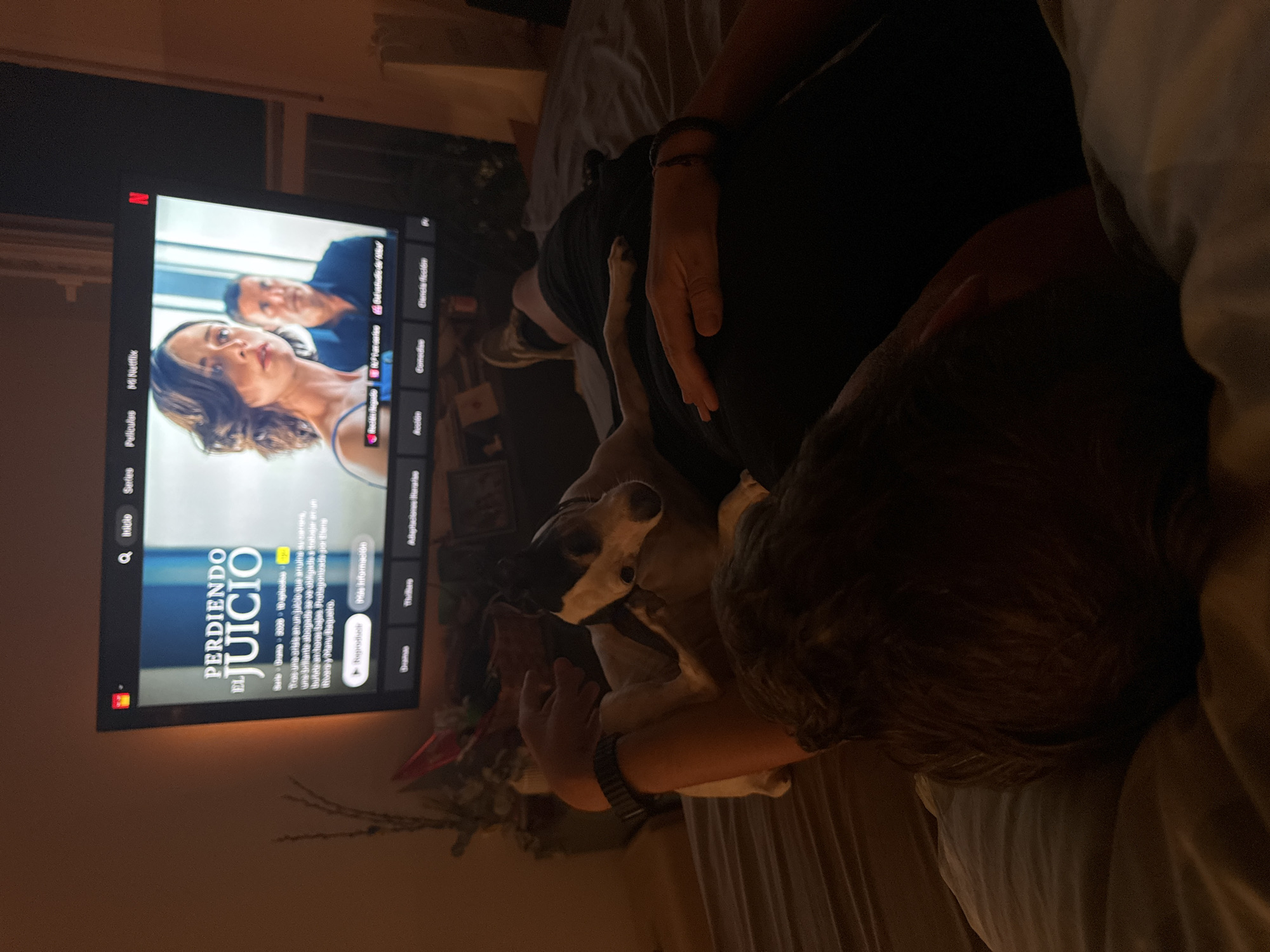 The image shows a person lying in bed, cuddling with a small dog while watching a television. The television screen displays the title "PERDIENDO EL JUICIO" which translates to "Losing the Case" and appears to be a Spanish-language drama series. The person is wearing a black t-shirt and a smartwatch on their left wrist, and the dog is white and black. The room is dimly lit, suggesting it is nighttime or the lights are intentionally turned down for watching TV. The background includes a blurred view of what looks like a decorated plant, possibly a Christmas tree, with some red accents. The bedding appears to be a muted gray. The image does not contain any explicit visual cues or landmarks that would indicate its location within the city of Murcia, Spain, beyond what is implied by the Spanish-language content on the TV.