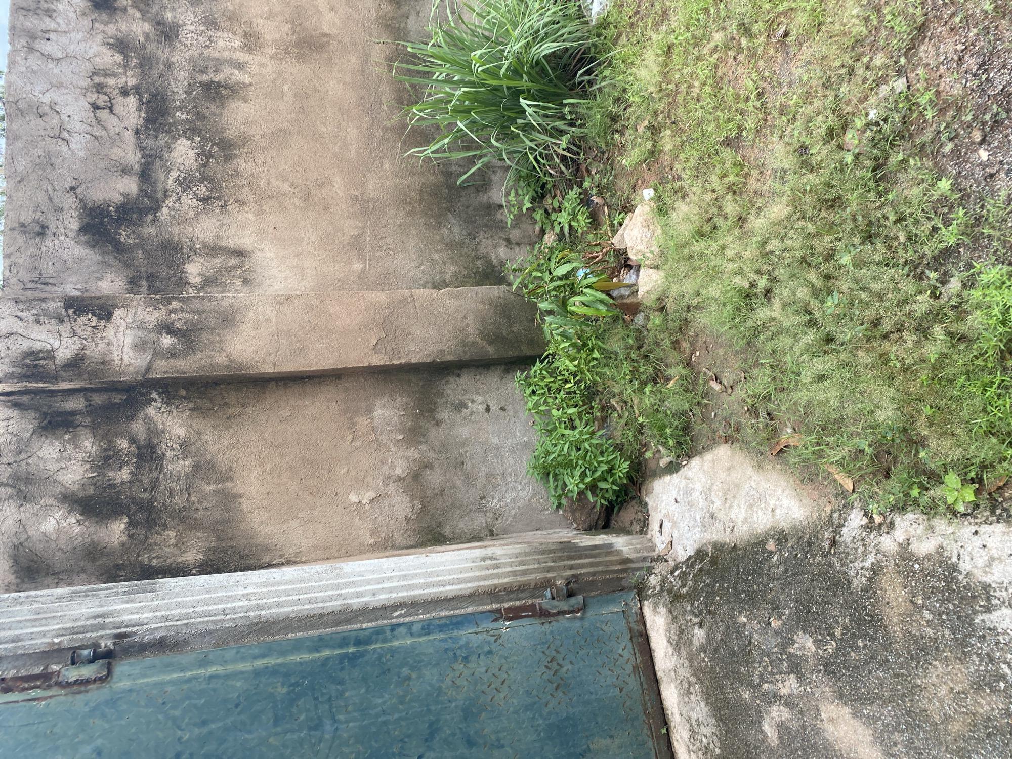This image depicts an outdoor scene adjacent to a weathered, textured concrete wall. To the left, a large, distressed teal-colored metal gate with a diamond plate pattern is visible, partially obscuring a concrete pillar. The ground in the foreground consists of a wet, patchy concrete surface and areas of overgrown grass and vegetation. Several small plants and a larger clump of tall, blade-like grass are present near the base of the wall. Rocks and debris are scattered on the ground. The wall itself shows signs of age and weathering, with dark stains and cracks. The overall environment suggests an unkempt outdoor area, possibly a backyard or alleyway. The location is identified as Jauro Yinu, Nigeria.