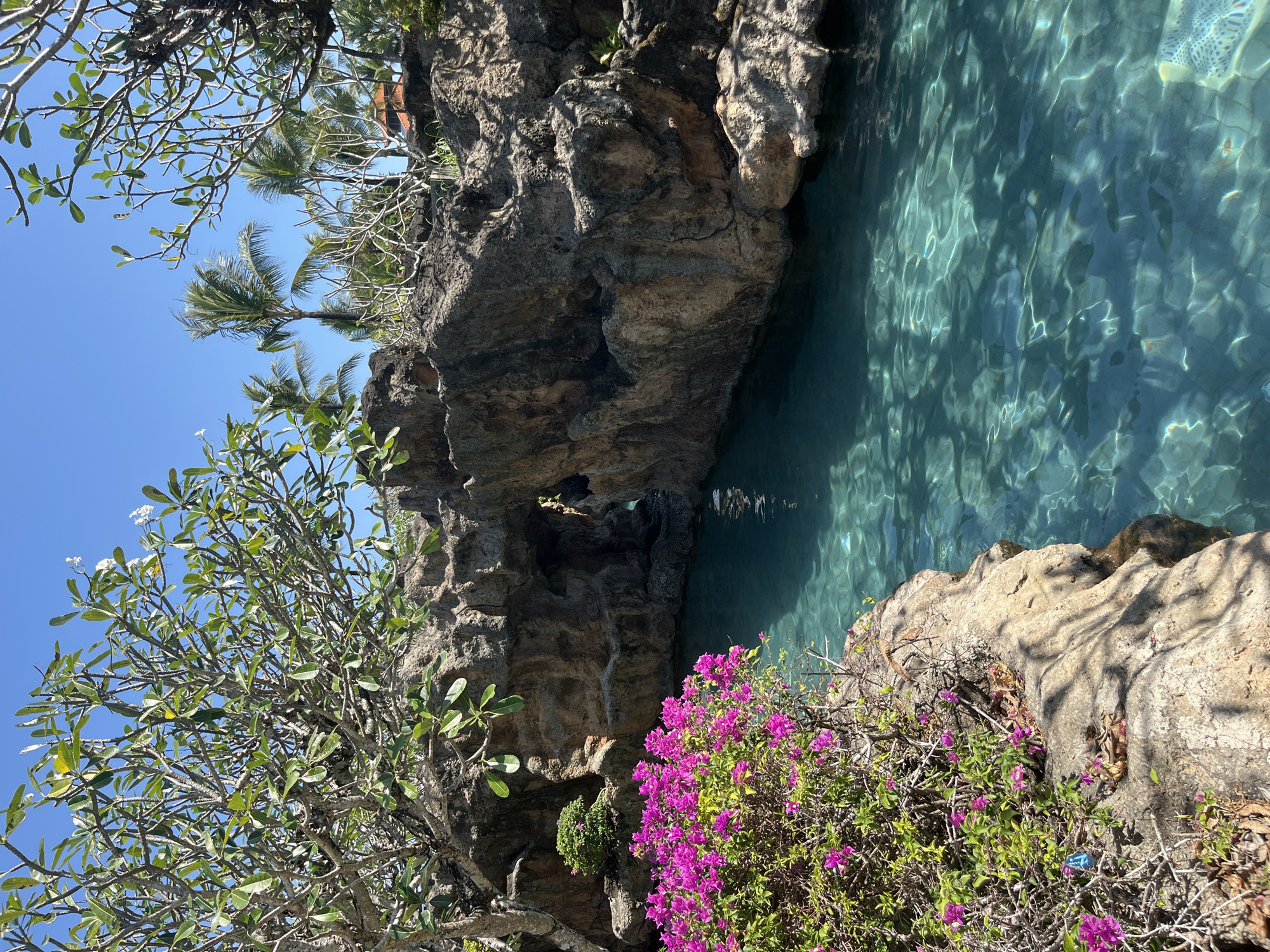 The image depicts a tropical outdoor scene with a clear turquoise body of water, possibly a pool or a calm inlet, in the foreground. The water has a textured surface with light patterns reflecting from the sky and surrounding foliage. To the left of the water, a rocky bank is adorned with a dense bush of vibrant pink flowers and lush green leaves. Further back, large, rough-textured rocks form an archway or a cave-like opening, with vegetation growing on top and around them. In the background, palm trees and other tropical plants are visible against a clear blue sky. The environment suggests a resort or a scenic natural location, consistent with the tropical climate of Kuta Selatan, Indonesia. There are no people visible in the image.
