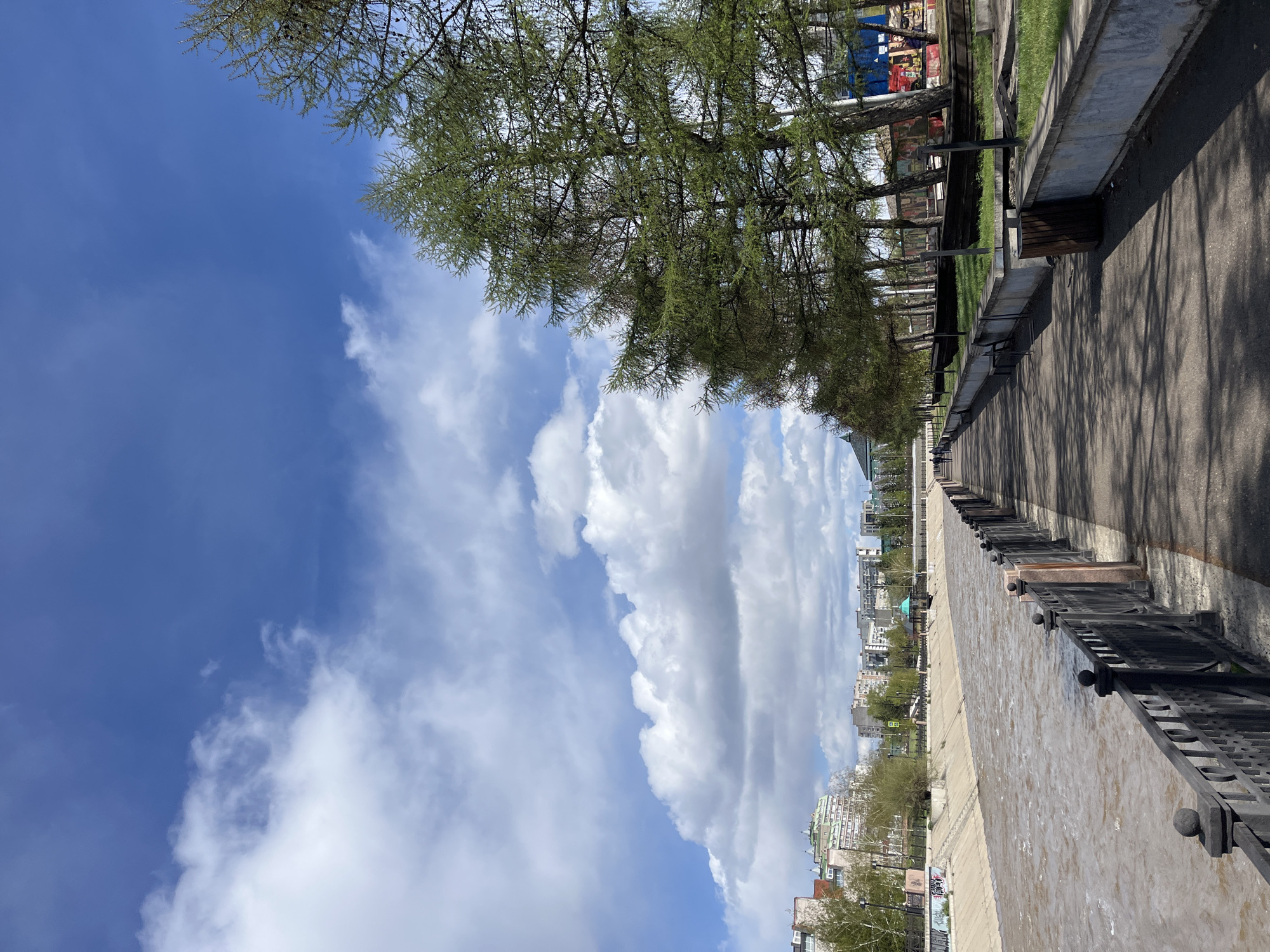 The image shows a waterside view in Krasnoyarsk, Russia, on a bright, sunny day with a vibrant blue sky filled with cumulus clouds. A row of deciduous trees lines the left side of a walkway with benches, casting shadows on the paved surface. A low stone wall runs along the water's edge, bordered by a decorative metal fence. Across the water, there's a partial view of buildings in the city.