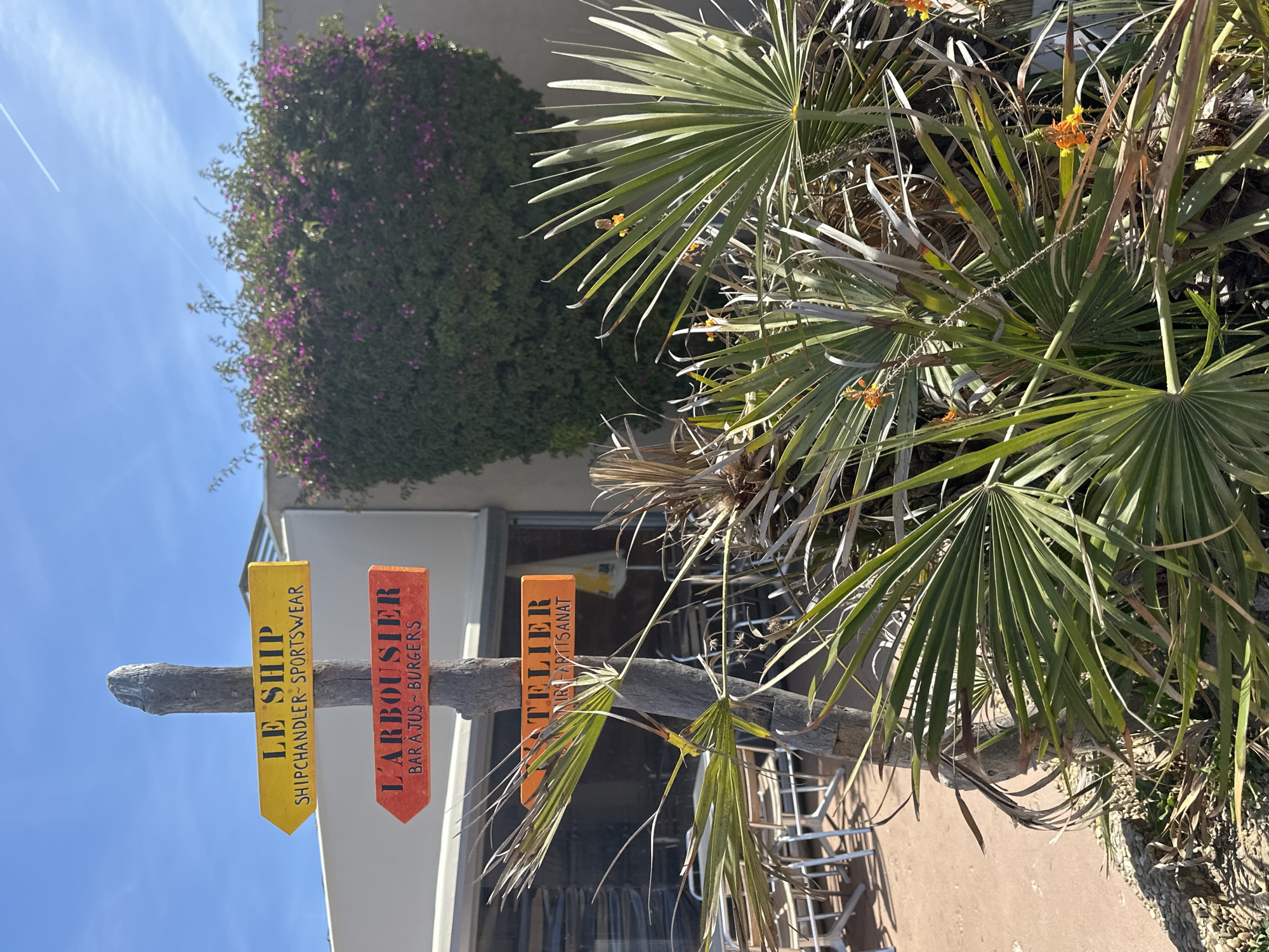 A wooden signpost with three directional signs is planted in the ground. The top sign, pointing left, is yellow and reads "LE SHIP SHIPCHANDLER-SPORTSWEAR". Below it, a red sign points left and reads "L'ARBUSTIER BAR A JUS-BURGERS". The bottom sign, also pointing left and colored orange, reads "ATELIER MINI ARTISANAT". The signpost is situated outdoors in what appears to be a Mediterranean setting, with lush green foliage and flowering bushes in the background. Palm fronds are visible in the foreground. The sky is clear and blue with a faint contrail from an airplane. This scene is located at the beachside of the city of Hyères, France, specifically on the Giens peninsula, an area known for its natural beauty and coastal amenities. No people are visible in the image.