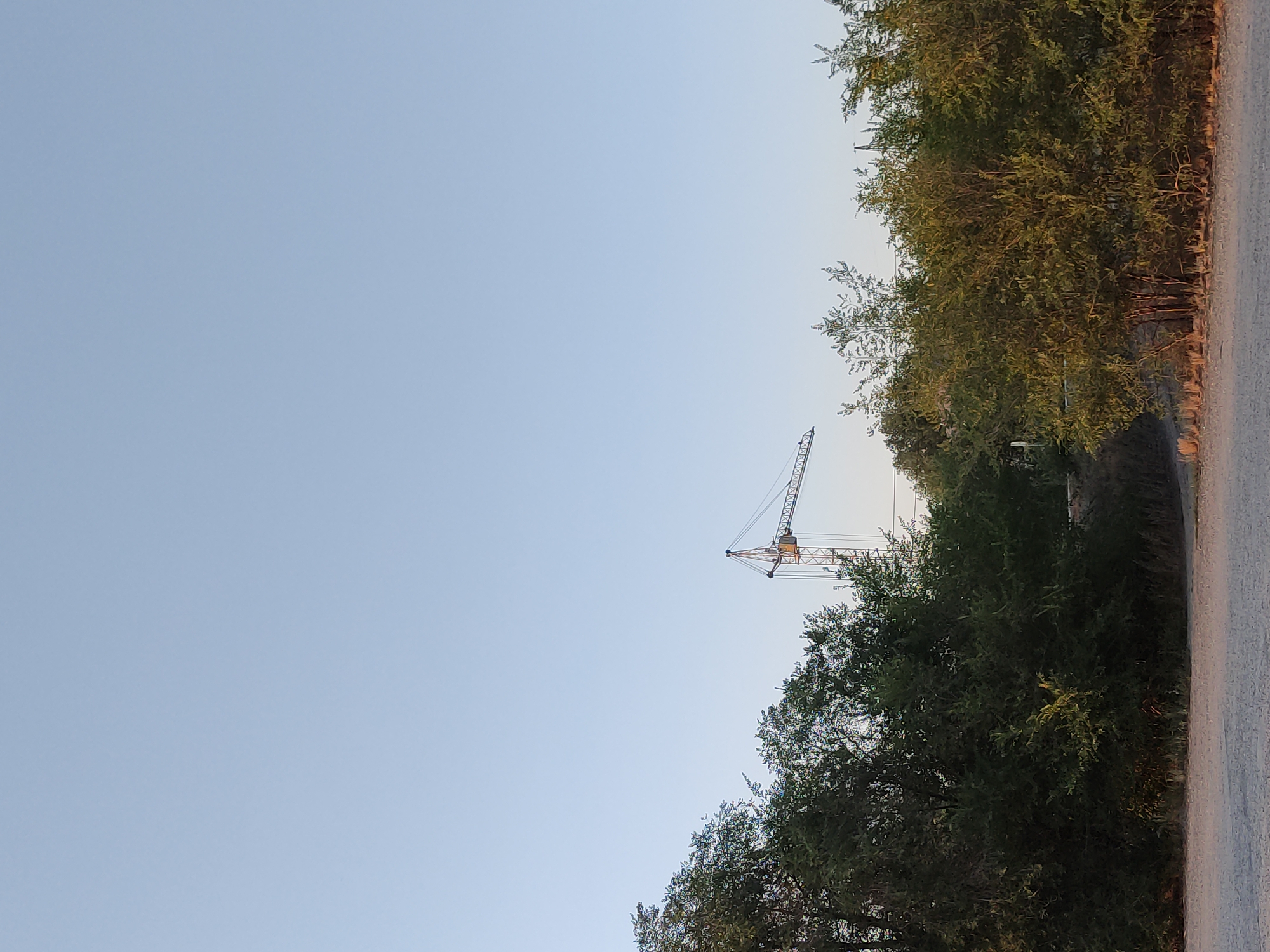 The image shows a construction crane in the distance, visible above a line of trees. The sky is clear and pale blue. The foreground consists of a gravel path or road, with dense green foliage and trees forming a visual barrier. The scene appears to be set in an outdoor, possibly semi-urban or rural, environment in the city of Semey, Kazakhstan, possibly near a construction site. No people are visible.