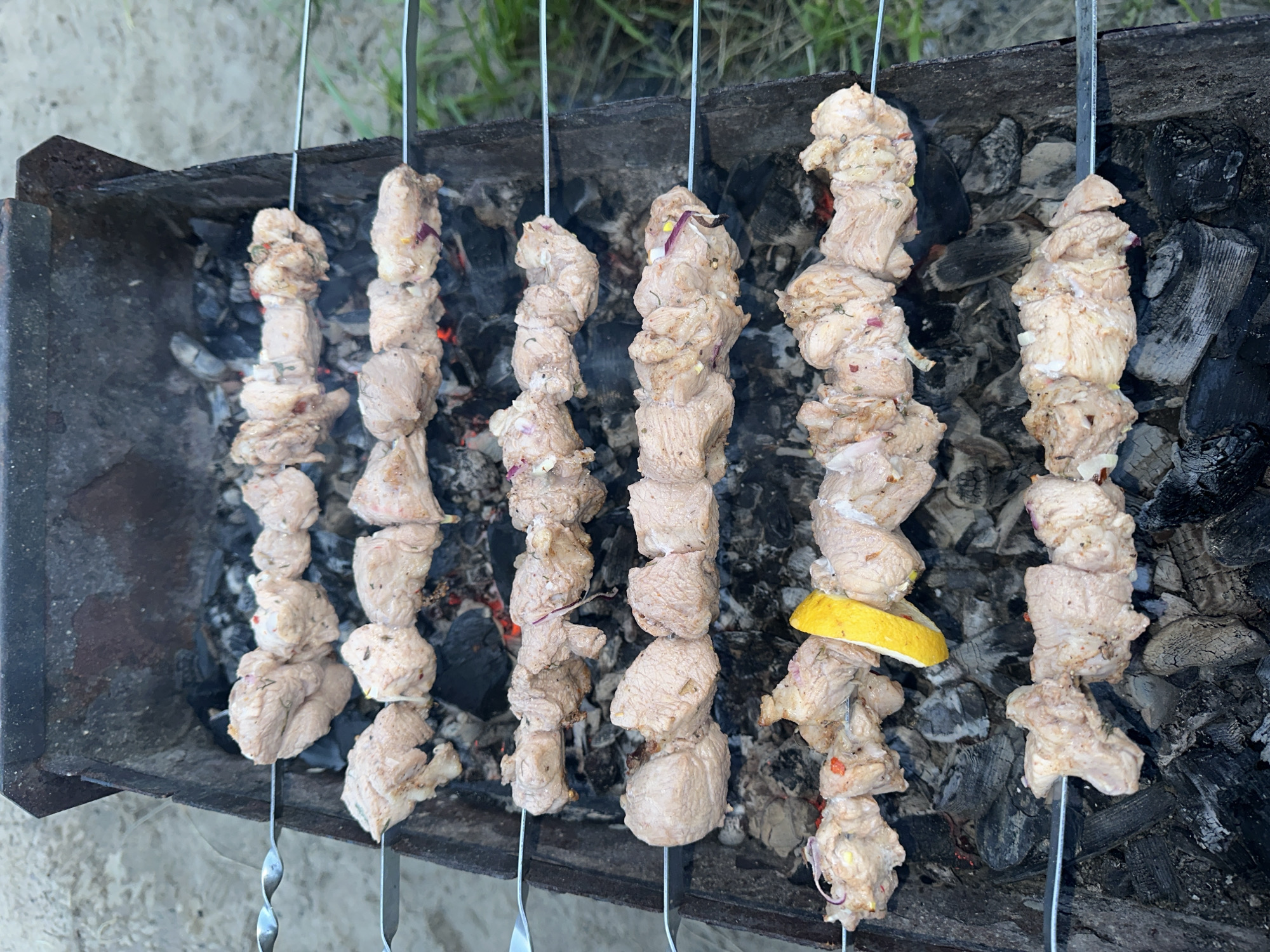 The image displays an outdoor grilling scene featuring six metal skewers laden with raw, marinated meat chunks, positioned over a bed of hot charcoal in a metal brazier. The meat, likely pork or chicken, appears light in color and is visibly seasoned with herbs and small pieces of red onion. One skewer, second from the right, also includes a bright yellow lemon slice.
The dark, rectangular metal brazier holds glowing embers and partially burned charcoal, indicating it's ready for cooking. Subtle hints of smoke or heat haze might be present around the skewers. In the blurred background, green foliage, possibly grass or bushes, and light-colored ground suggest an outdoor setting.
The activity depicted is the preparation or initial stage of grilling shashlik, a popular skewered meat dish, commonly enjoyed at outdoor gatherings. There are no people visible in the frame, and no text is discernible. The scene evokes a sense of anticipation for a meal, consistent with outdoor leisure activities in locations like Vasilyevo, Russia.
