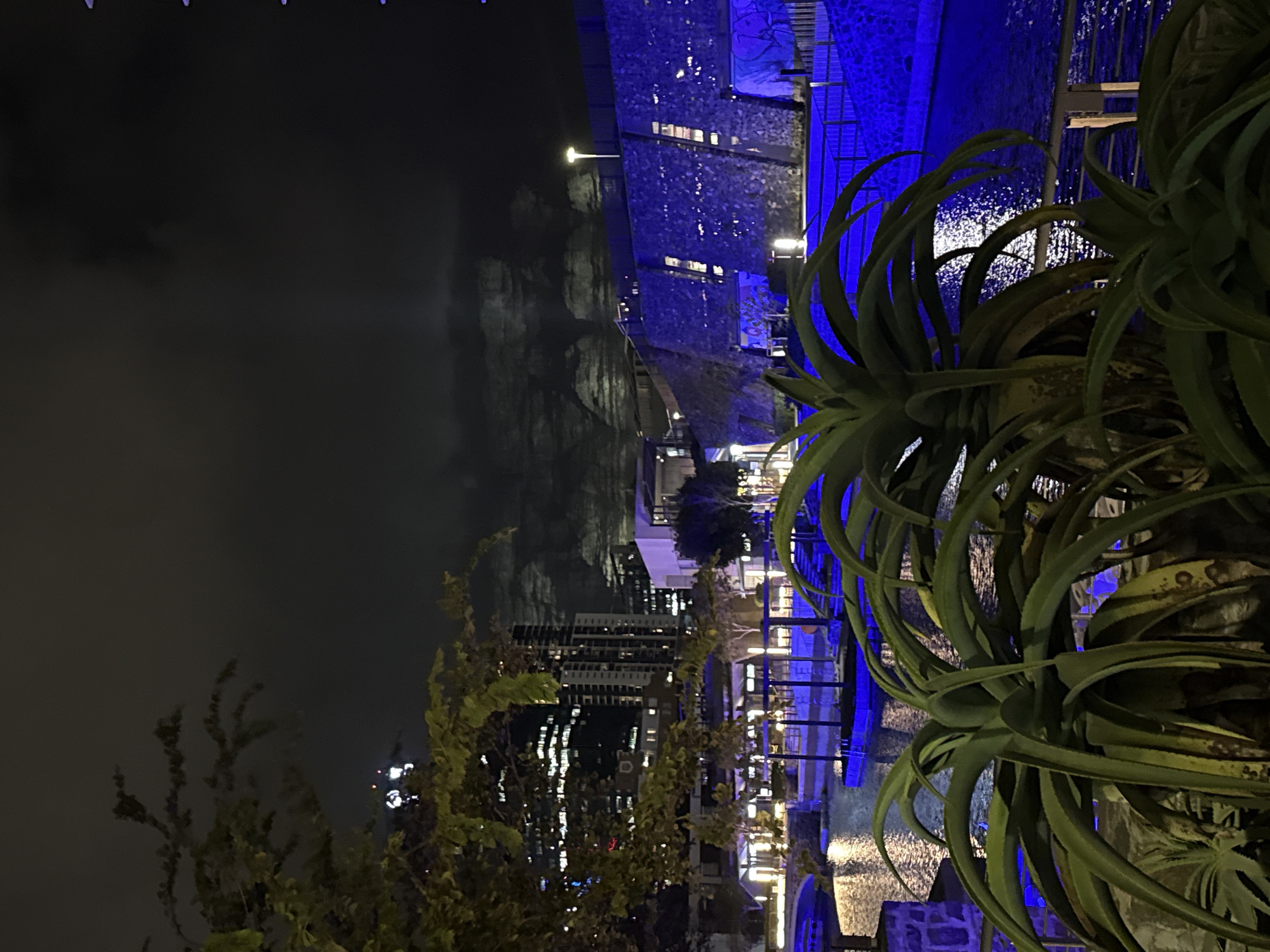 The image shows a nighttime scene in Cape Town, South Africa. In the foreground is a succulent plant. Beyond the plant, a waterway reflects lights from buildings and structures. A building with blue lighting is adjacent to the water. Further in the distance, city buildings are visible. The sky is dark and overcast.