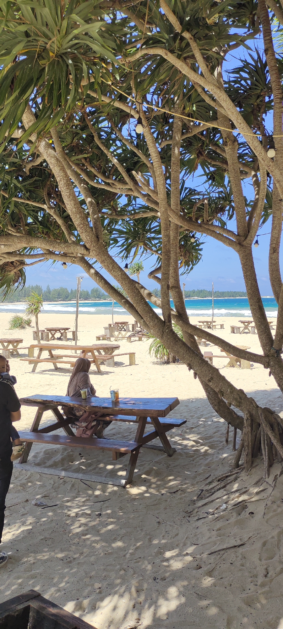 This image depicts a beach scene in Meunasahbale, Indonesia. In the foreground, a person wearing a brown hijab sits at a wooden picnic table on the sand. On the table are two drinks, one appearing to be in a clear cup with a straw and the other in a white cup with a straw. The table is partially shaded by the branches of a large tree with thick, textured bark and long, spiky green leaves. The ground beneath the table is sandy, with dappled sunlight filtering through the tree's canopy.
Further back on the beach, several other empty wooden picnic tables and benches are visible. In the background, the turquoise ocean meets a sandy shoreline, with a line of green trees forming a backdrop. The sky is a clear blue. The overall atmosphere is relaxed and serene, suggesting a coastal dining or relaxation area.