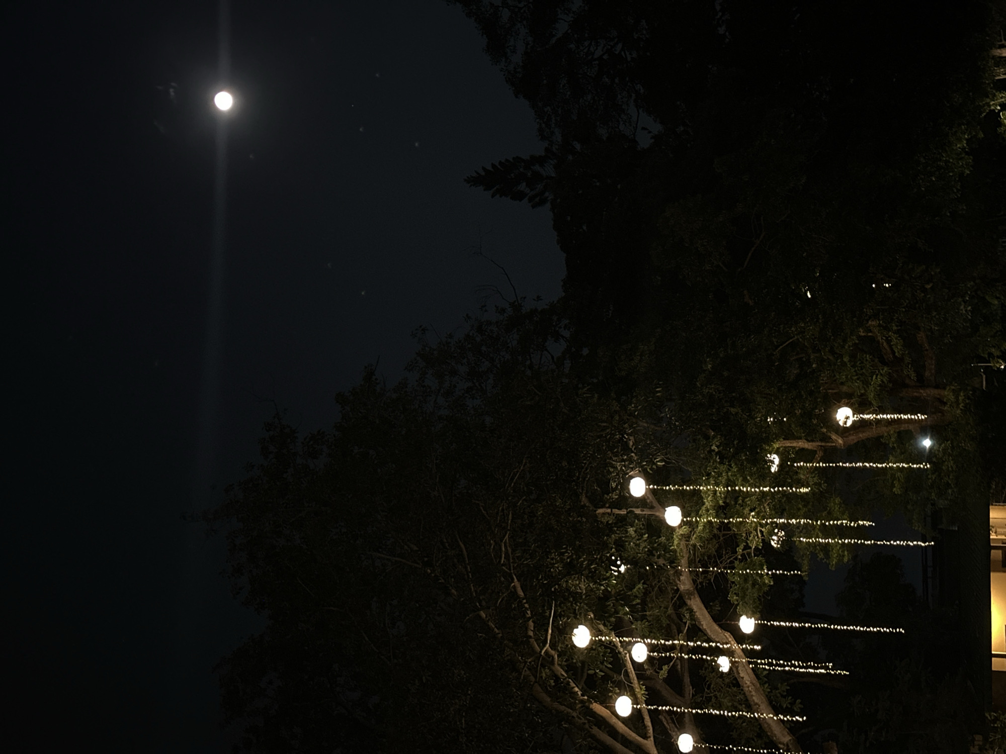 The image shows a night scene in Phuket City Municipality, Thailand. In the dark sky, a bright moon is visible in the upper left. Silhouetted trees fill the right half of the frame, and strung lights are draped across their branches. The branches are arranged in a horizontal fashion.