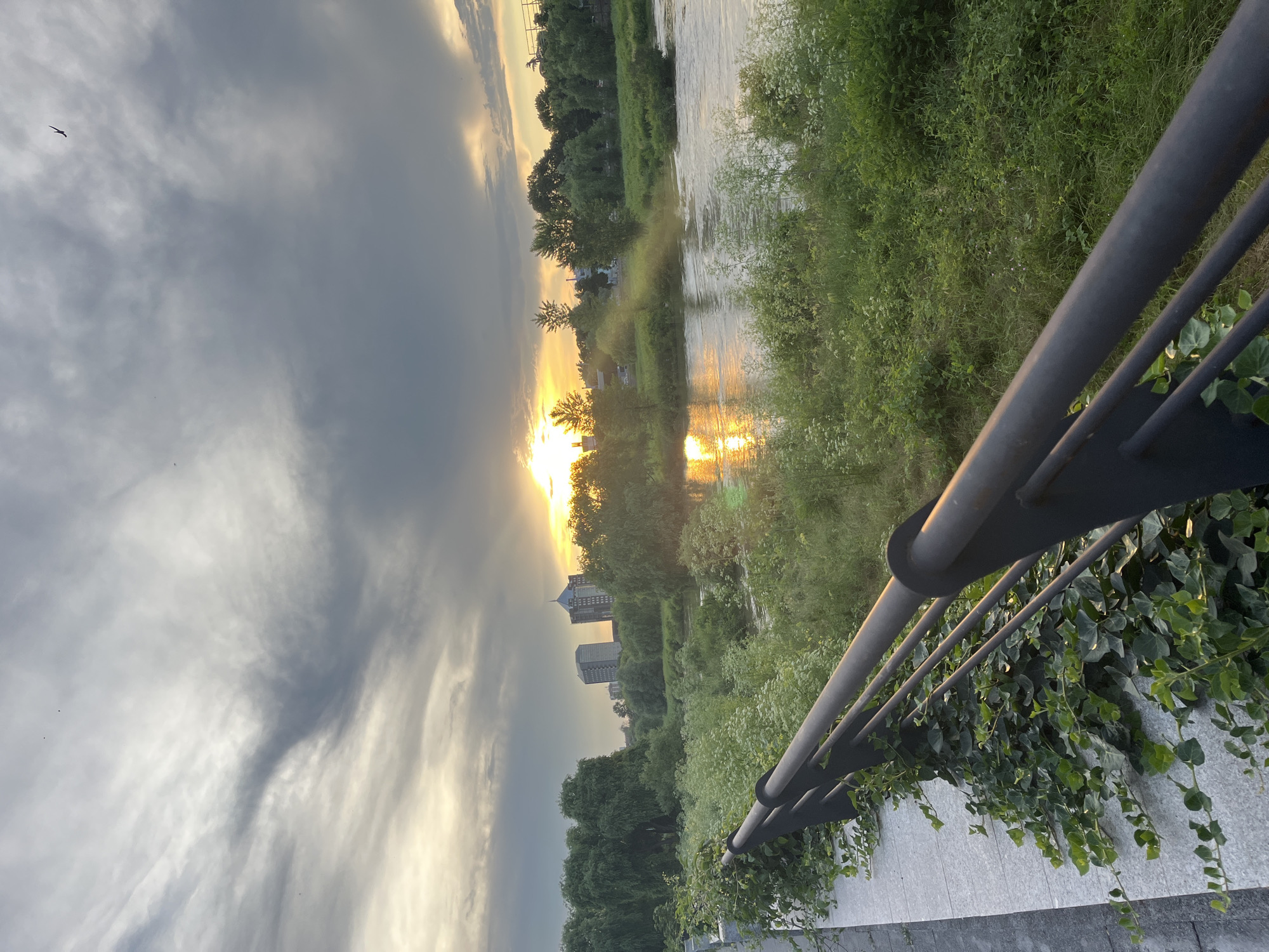 This image depicts a sunset scene along a river in Plovdiv, Bulgaria. The foreground features a dark metal railing with ivy growing on a light-colored stone wall beside it. Beyond the railing, a lush green riverbank is visible, teeming with various plants and foliage. The river itself flows through the midground, reflecting the warm, golden hues of the setting sun. In the distance, a cluster of modern buildings stands against a dramatic sky filled with dark, heavy clouds tinged with yellow and orange from the sunset. Several trees line the riverbanks, adding to the natural scenery. The overall atmosphere is serene and picturesque, capturing the natural beauty of the river environment meeting the urban landscape of Plovdiv.