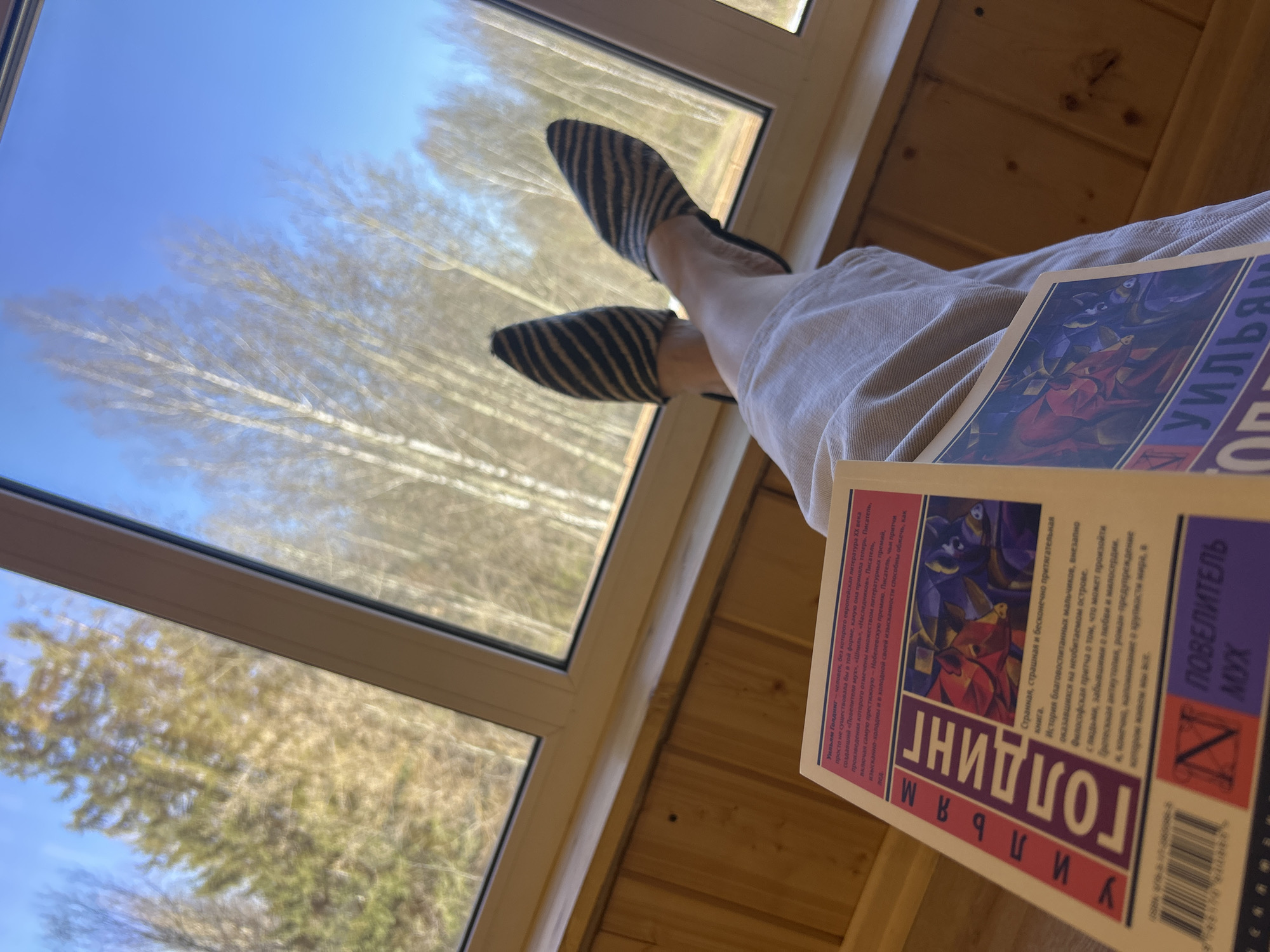 A person is sitting indoors, likely in a room with wood paneling, and is resting their legs against a window. The person is wearing zebra-striped shoes and light-colored pants. They are holding a book titled "Lord of the Flies" by William Golding (in Russian). The window offers a view of bare trees against a blue sky. It is not possible to identify Izhevsk as the city because the image does not contain specific landmarks, characteristics, or information that would confirm its location.