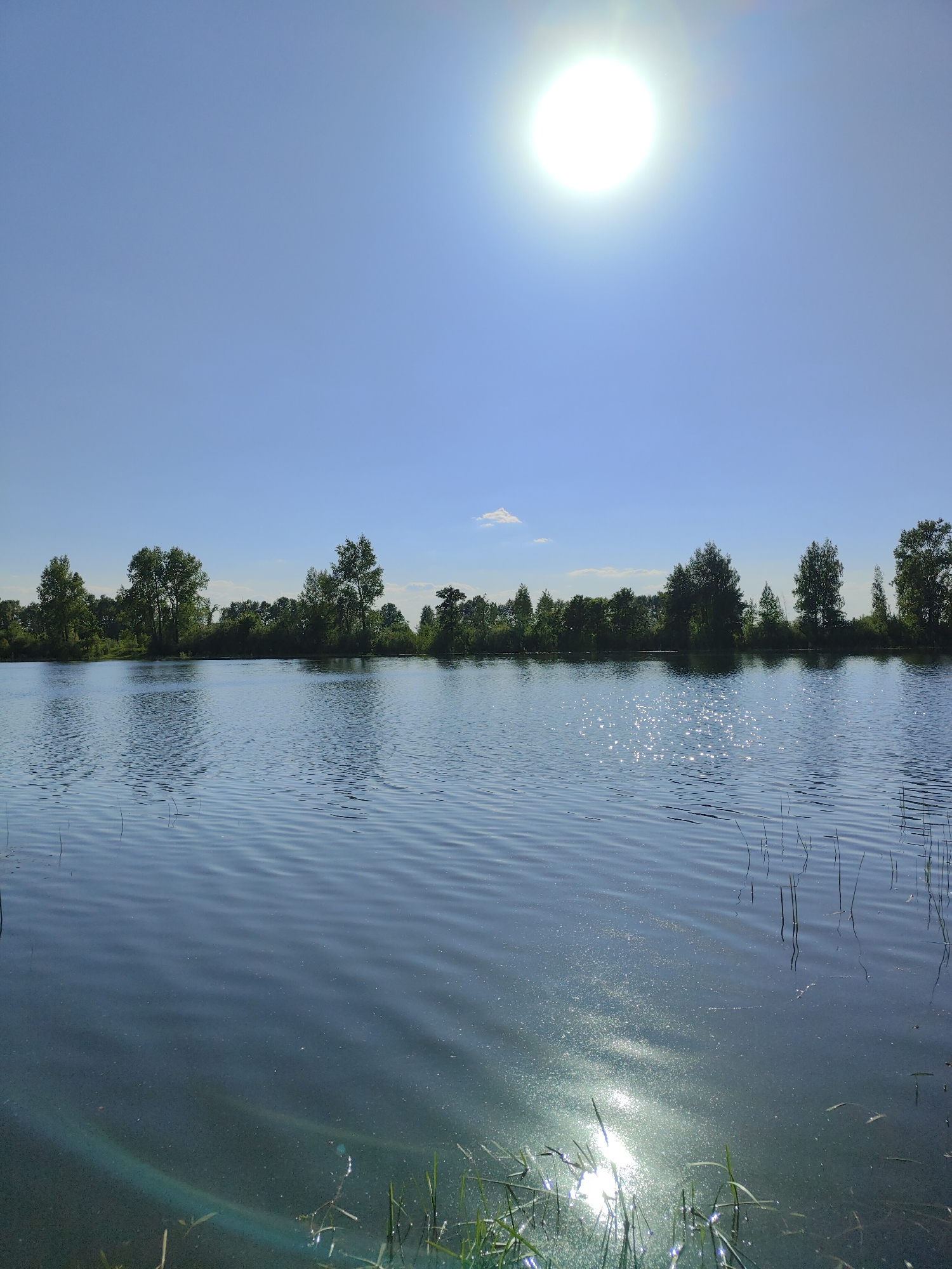 The image depicts a serene lake scene under a bright, cloudless sky, likely during daylight hours. The sun is prominently positioned in the upper portion of the image, creating a strong reflection on the water's surface. The water itself appears to have a slight ripple effect, with the sun's glare reflecting unevenly across the surface, giving it a shimmering quality. The foreground of the image includes some vegetation growing along the water's edge. In the background, there is a line of trees, forming a treeline that separates the water from the sky. The location is unknown.