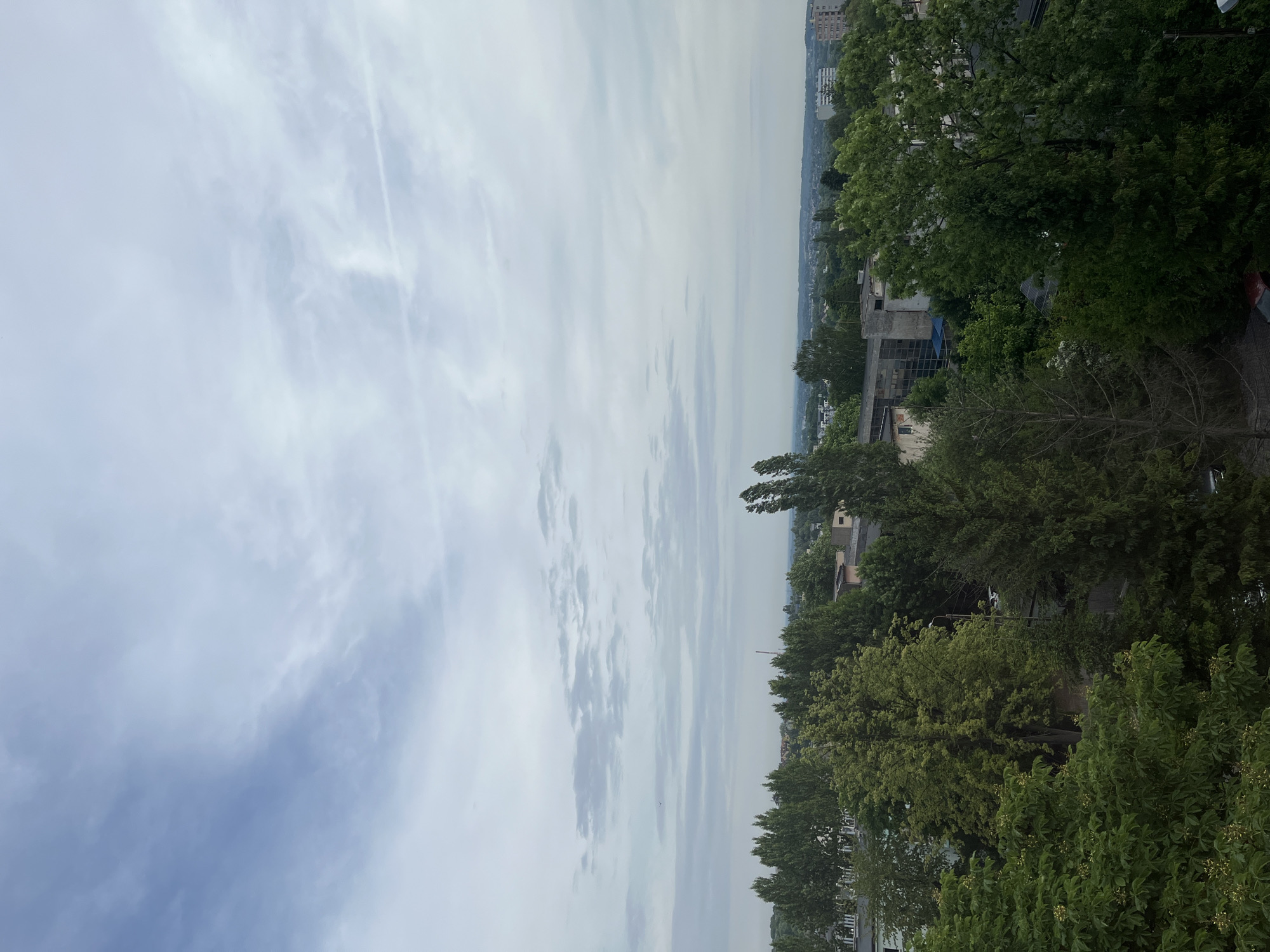 The image presents an expansive view from an elevated vantage point, looking across a landscape dominated by trees and distant urban elements under a cloudy sky. The top half of the frame is filled with a pale blue to light grey sky, heavily covered with clouds ranging from wispy, high-altitude streaks to more uniform, diffused cloud cover. The overall impression of the sky is overcast or partially cloudy.
Below the sky, a hazy horizon line separates it from a sprawling urban or suburban area in the mid-distance, where indistinct buildings are visible. The lower half of the image is characterized by a dense canopy of lush green trees, suggesting a verdant environment or park-like setting. Interspersed among these trees are various buildings. Some structures appear industrial or older, featuring concrete facades, a blue tarp or awning on one roof, and what might be solar panels reflecting sunlight on another. A paved area, possibly a road or pathway, can be seen winding through the foliage, with a partial view of a red-colored vehicle near the edge of the frame. The lighting is soft and diffused, indicative of an overcast day. No specific human activity is discernible, and no visible text is present.