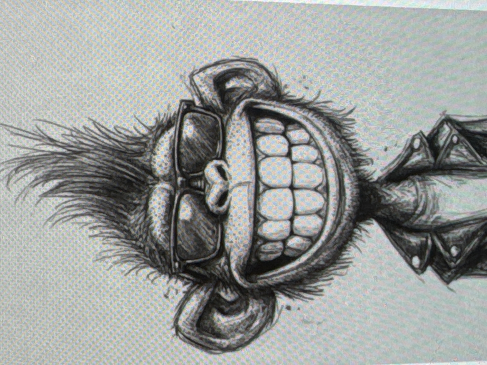 The image is a black and white sketch of a cartoon monkey with a punk-rock aesthetic. The monkey has a spiky mohawk, sunglasses, a wide grin revealing many teeth, and is wearing a leather jacket over a t-shirt. The background is a textured light gray. The image does not depict any recognizable city or location.