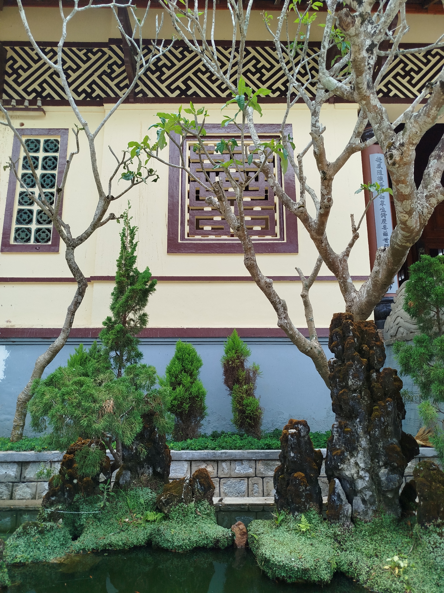 A ground-level shot shows a garden scene in Da Lat, Vietnam. The foreground features a small pond with dark green water and clumps of green mossy vegetation growing on rocks protruding from the water. A low stone wall forms the pond's edge, with various shrubs and small trees planted behind it.
The background reveals a building with a beige facade. Two distinct window designs are visible. One is a square with intricate brown lattice work, and the other is a square design with a repetitive circular motif with a brown frame. A geometric, maze-like brown pattern adorns the upper part of the facade. A vertical line of text in Traditional Chinese or Vietnamese script is to the right of the rightmost window.
Several bare-branched trees and evergreens are interspersed throughout the scene, adding depth and complexity to the composition.
