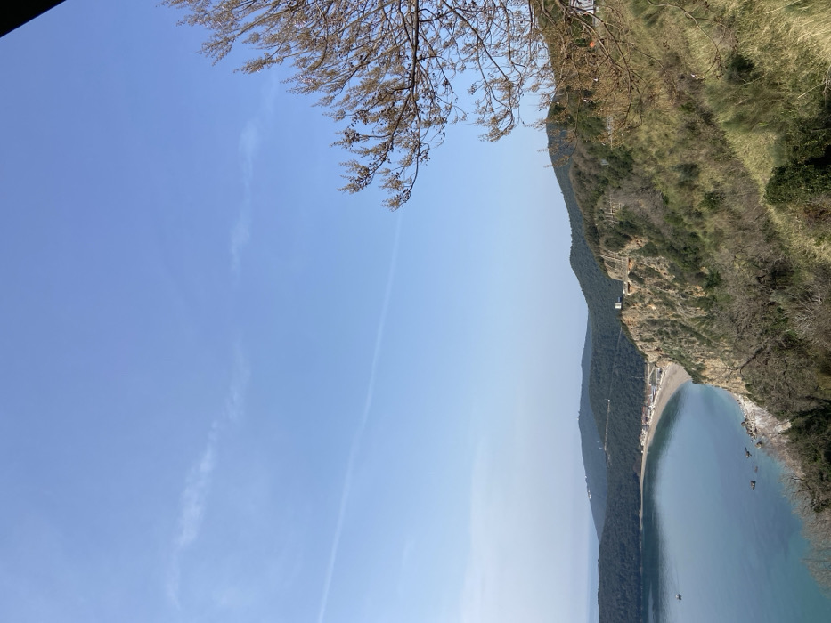 A high-angle, wide shot captures Jaz Beach, Budva, Montenegro, under a clear, light blue sky with faint cirrus clouds and a contrail. The foreground, right, features bare, budding tree branches and a dry, grassy slope with sparse vegetation. The midground reveals a steep, rocky cliff descending to a calm, turquoise bay. A winding road with retaining structures is visible along the cliff face. Along the curved coastline, a pebble beach extends, flanked by multiple structures including buildings with red roofs. Several small boats are moored in the tranquil waters near the shore. The background consists of densely forested hills and mountains receding into the distance. No individuals are observed.