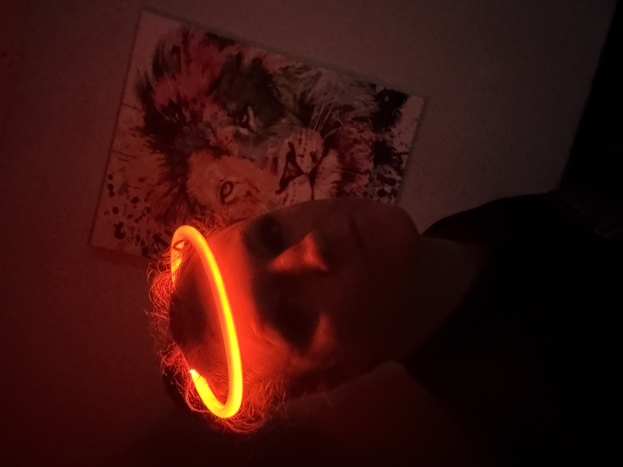 The image displays a close-up, angled view of a person in a dark indoor setting in Chaikovsky, Russia. The dominant feature is a vibrant, circular orange-red glow stick worn around the person's head, illuminating their hair and parts of their face, including the forehead and nose, while the rest of their features remain largely in shadow.
In the background, a painting or print of a lion's head is visible on the wall. The artwork features an expressive style with splashes of dark, red, and lighter colors, giving it a dynamic appearance. A faint, stylized letter "e" can be seen on the lion's snout within the painting. The overall scene is dimly lit, with the glow stick serving as the primary light source, suggesting it is nighttime or a very dark room. No specific activity beyond wearing the glow stick is clearly depicted. The general atmosphere appears casual and dark, with the glowing object providing a focal point.