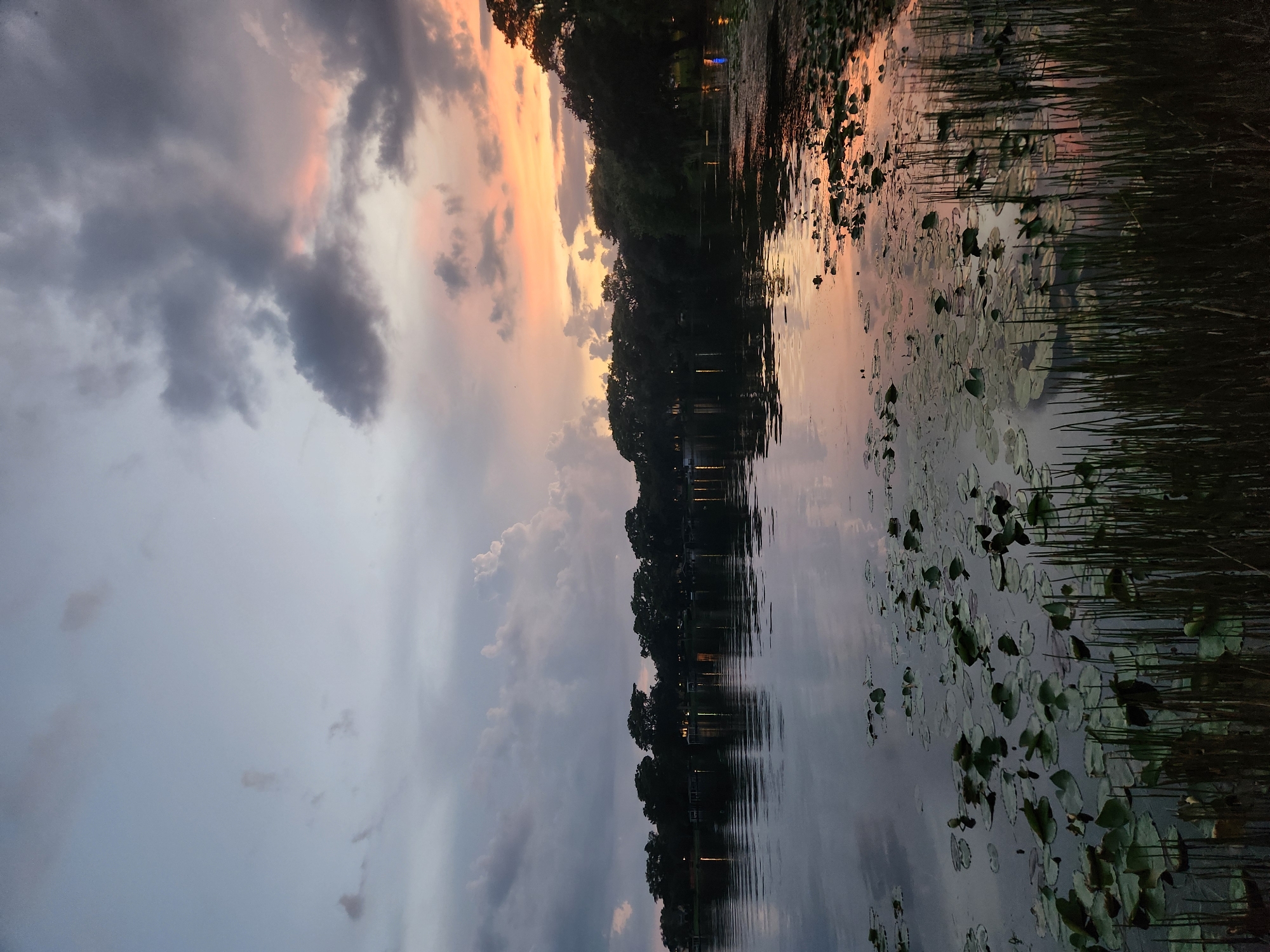 The image depicts a serene lake at dusk, with the sky painted in hues of gray, pink, and orange. The water's surface is calm, reflecting the dramatic clouds and the silhouettes of trees lining the distant shore. Lily pads and reeds are scattered across the foreground, adding texture to the tranquil scene. The setting appears to be a natural landscape, possibly a park or a natural preserve, common in areas like Winter Park, Florida, known for its many lakes and green spaces. There are no people or animals visible in the frame.