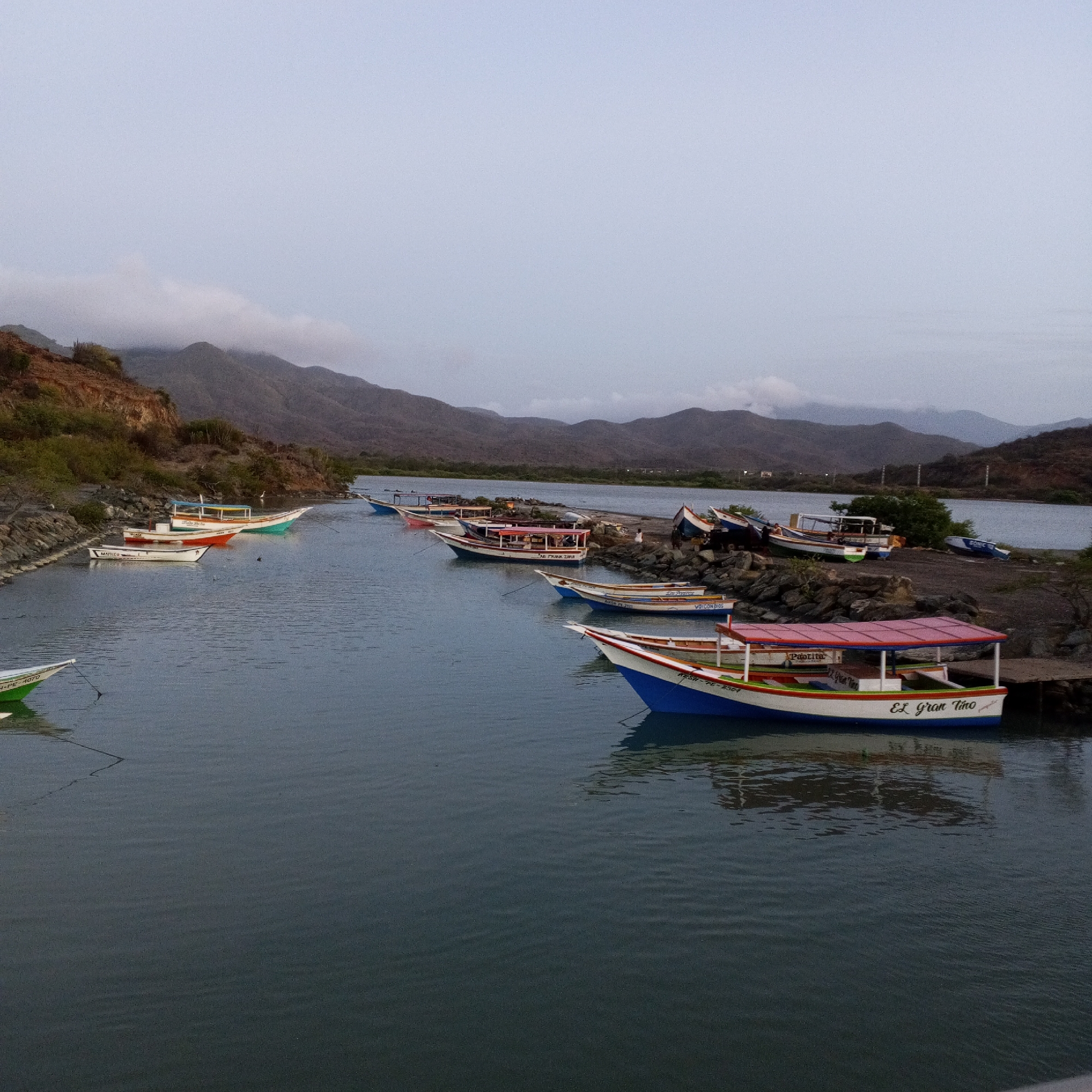 This image shows a body of water, likely a channel or inlet, in what appears to be a rural or coastal area. Several boats are docked or anchored along the waterway. The boats vary in size and color, with one prominently labeled "El Gran Tino". In the background, there are mountains shrouded in mist or low-lying clouds. The terrain along the water's edge consists of vegetation and rocky shores. The overall scene suggests a tranquil, possibly overcast day. Based on the information provided, this location is in the city of Pedro González, Venezuela.