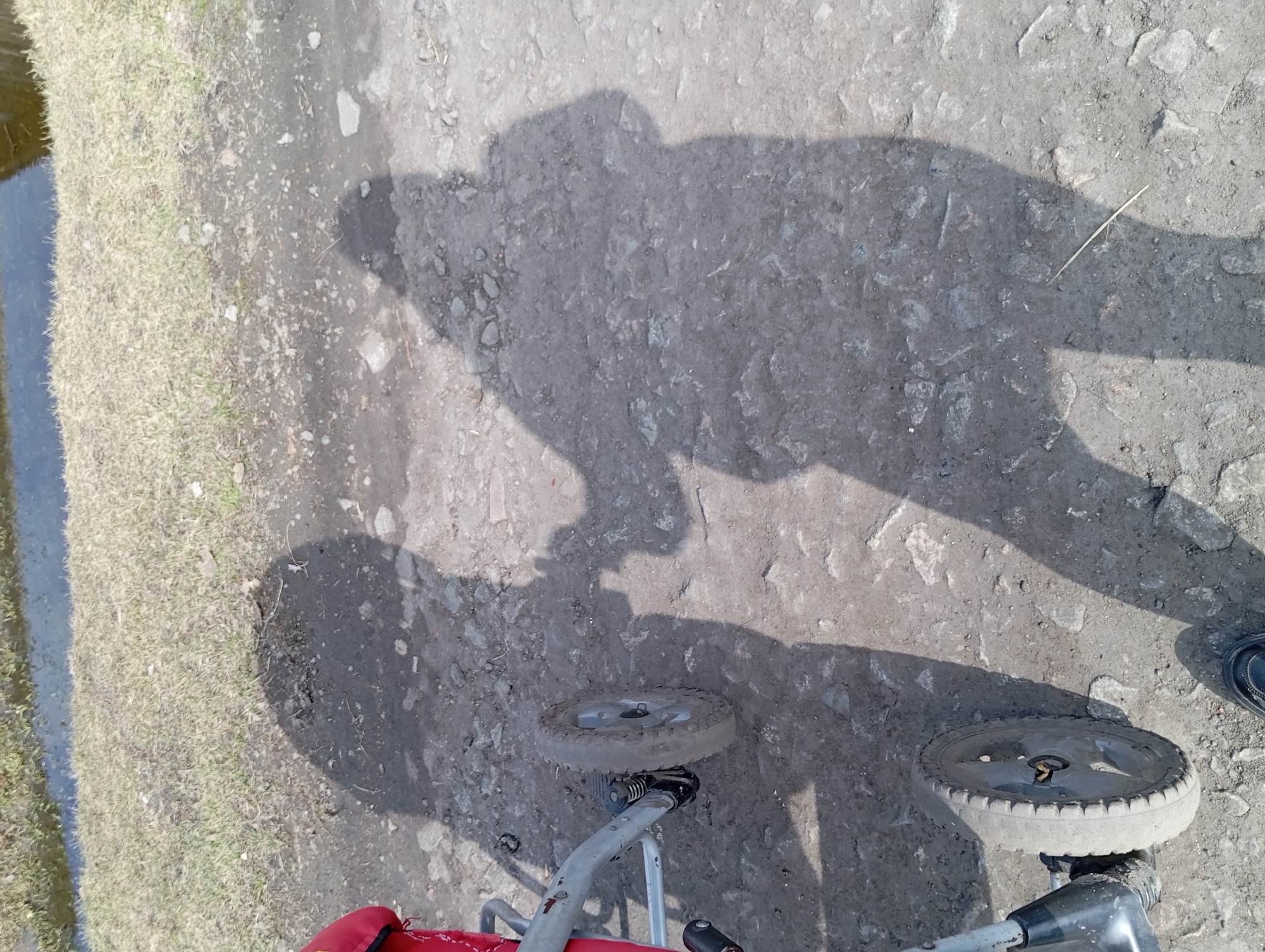 The image depicts an outdoor scene. The location appears to be near a grassy area and a body of water or ditch. A stroller is visible in the lower portion of the image, with two visible wheels. The ground surface consists of compacted soil and gravel. The shadow of a person holding a device, possibly a camera or phone, is cast onto the ground, suggesting the time of day is likely during daylight hours with sufficient sunlight. No specific landmarks or elements explicitly place the scene in Yurgamysh, Russia.