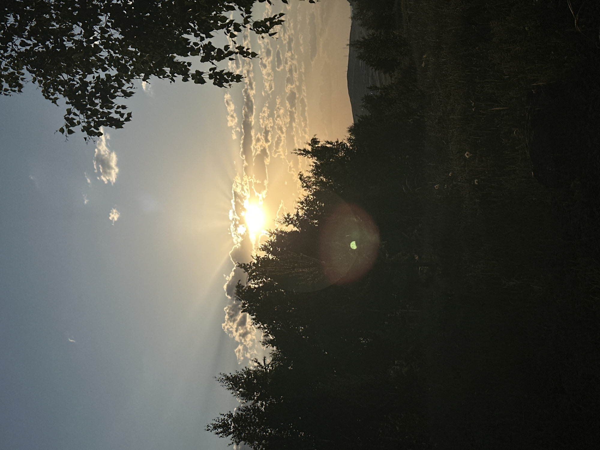 The image shows a view looking upwards towards the sky and sun, partially obscured by tree branches and clouds. The sun is emitting visible rays of light. There is a lens flare visible in the mid-right. There is vegetation to the right of the image, possibly part of a hill. The location is Kokshetau, Kazakhstan, based on the context of the request.