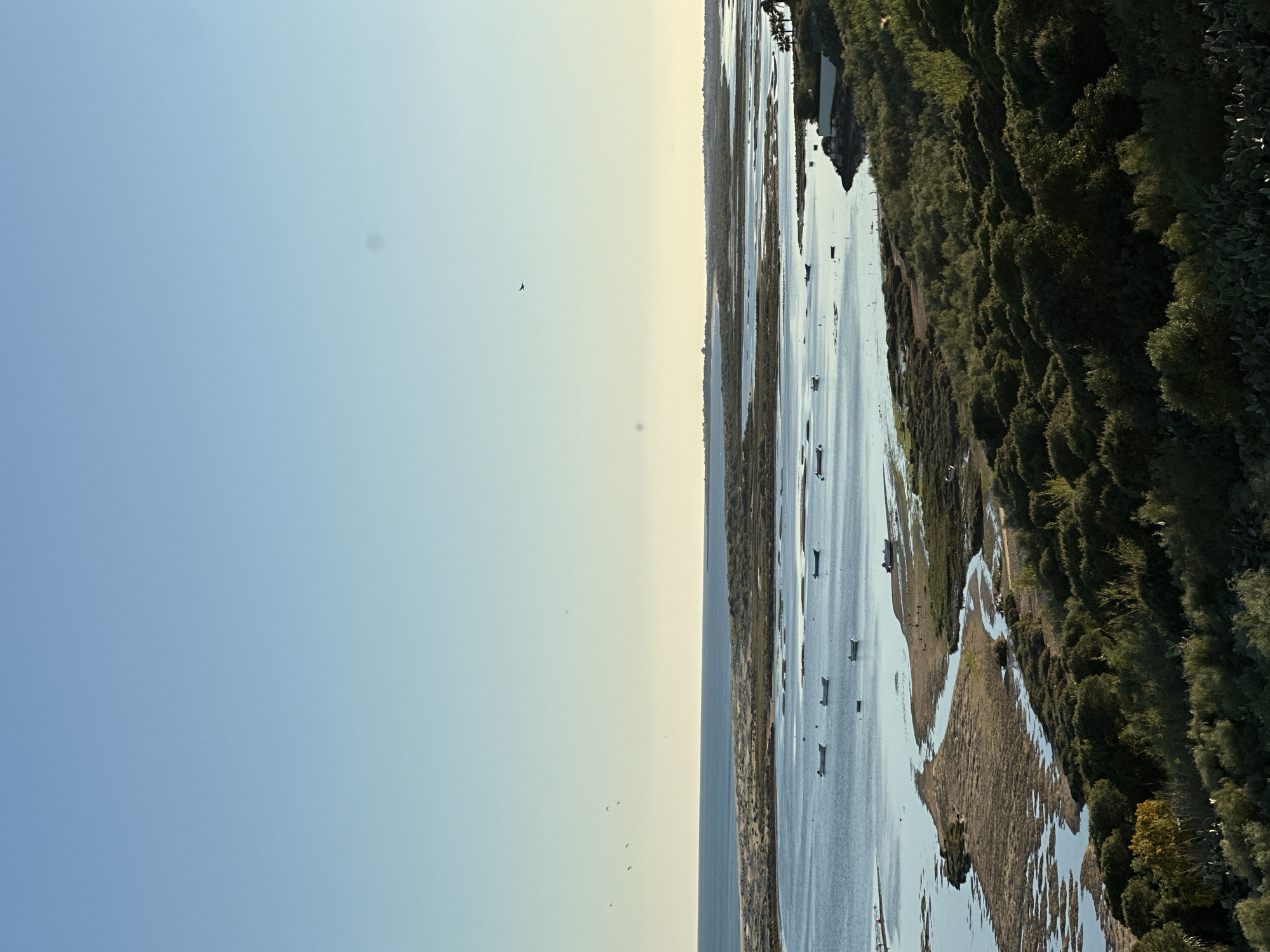 An aerial shot, tilted for perspective, reveals a waterway with numerous boats dotting the surface. Dense vegetation lines the edge of the water, transitioning from green to brown patches. The sky is divided into a light blue area on one side and a pale yellow-white on the other, with several birds visible in flight. Based on the features, the location appears to be near Vila Real de Santo António, Portugal, likely part of the Ria Formosa Natural Park.