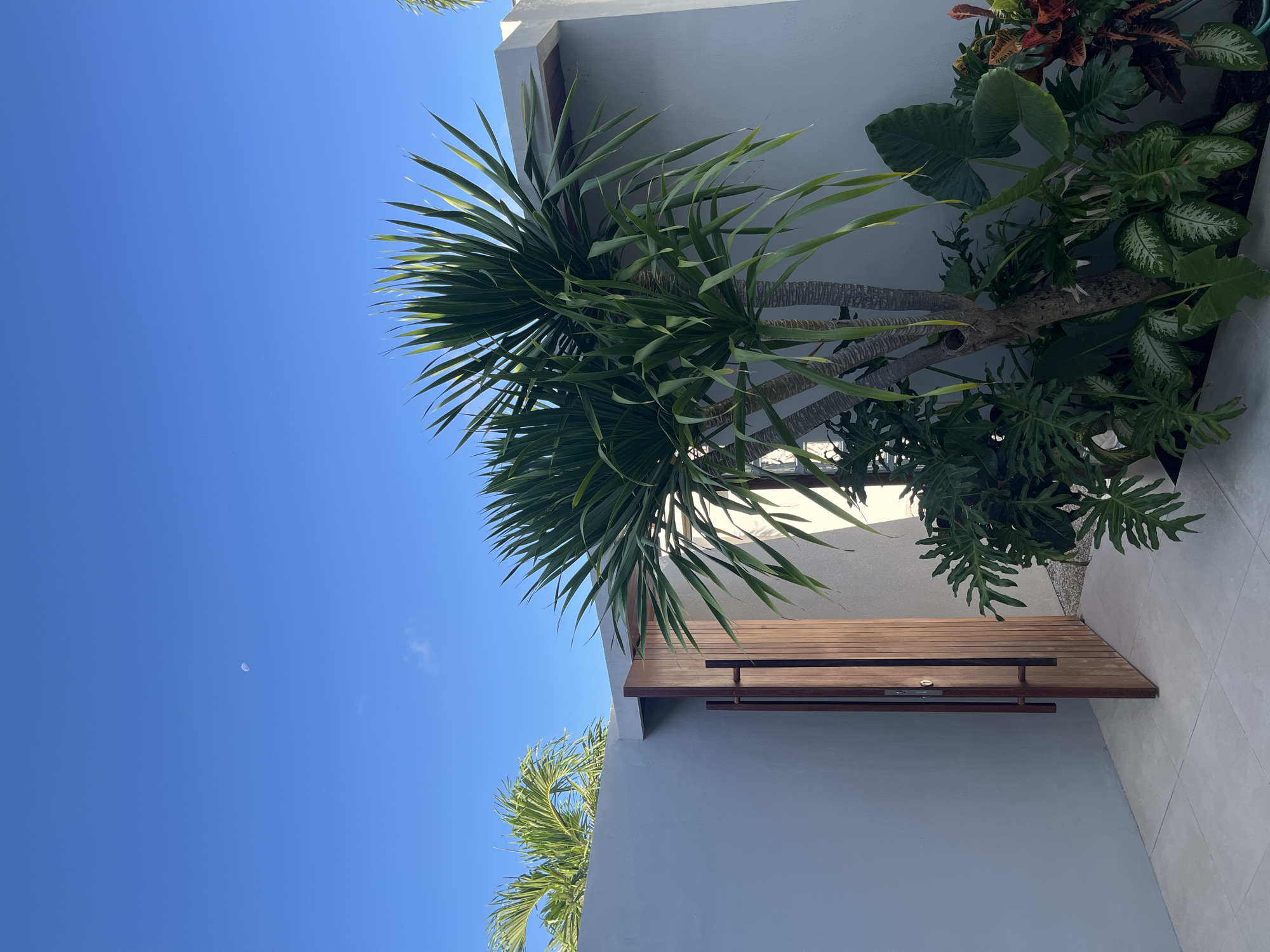 The image is taken from a low angle, facing upwards towards a predominantly clear blue sky. A small crescent moon is visible in the upper left quadrant. A building with light gray walls occupies the right half of the frame, juxtaposed against the sky. A wooden structure, seemingly a bench or shelf, is attached to the wall. Plants, including a yucca and various leafy tropical flora, grow against the wall. The location, based on the prompt, is Kuta Selatan, Indonesia. The light suggests it's daytime. There are no people in the image.