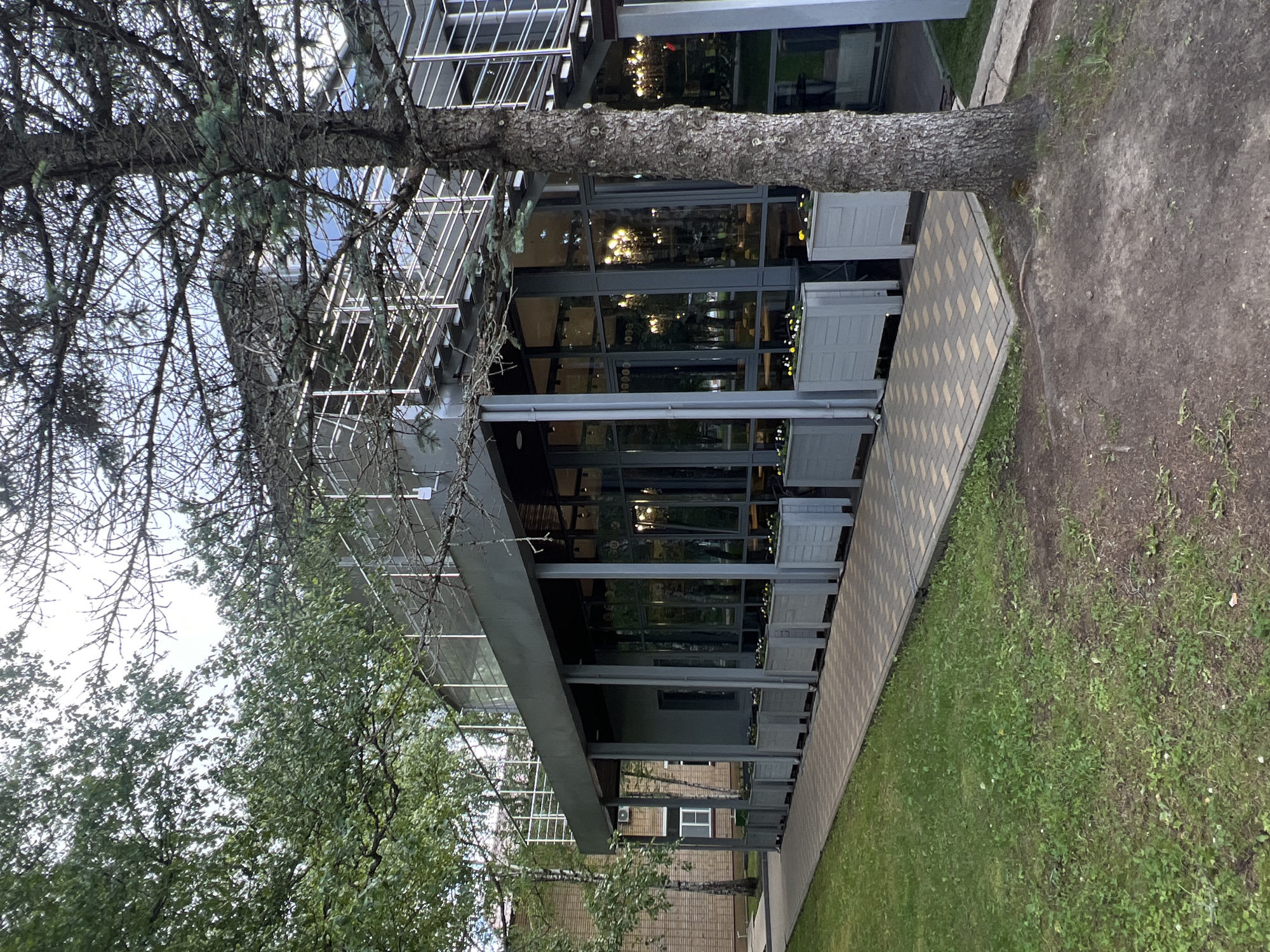 A tall, mature pine tree with dark, rough bark stands in the foreground, its branches reaching towards the top right of the frame. Behind the tree, a modern, multi-story building with large glass windows and a metal facade is visible. The building has a second-floor balcony with a metal railing, and stairs leading up to it. A walkway made of light-colored pavers runs along the front of the building, lined with grey planters containing small yellow and white flowers. To the left of the building, a brick building with a white-framed window is partially visible. The ground in front of the walkway is covered with green grass and some bare earth. The overall setting appears to be an outdoor area of a commercial establishment, possibly a cafe or restaurant, located in Kubinka, Russia, as indicated by the style of architecture and the presence of trees. The sky is overcast, suggesting a cloudy day. No people are present in the image.