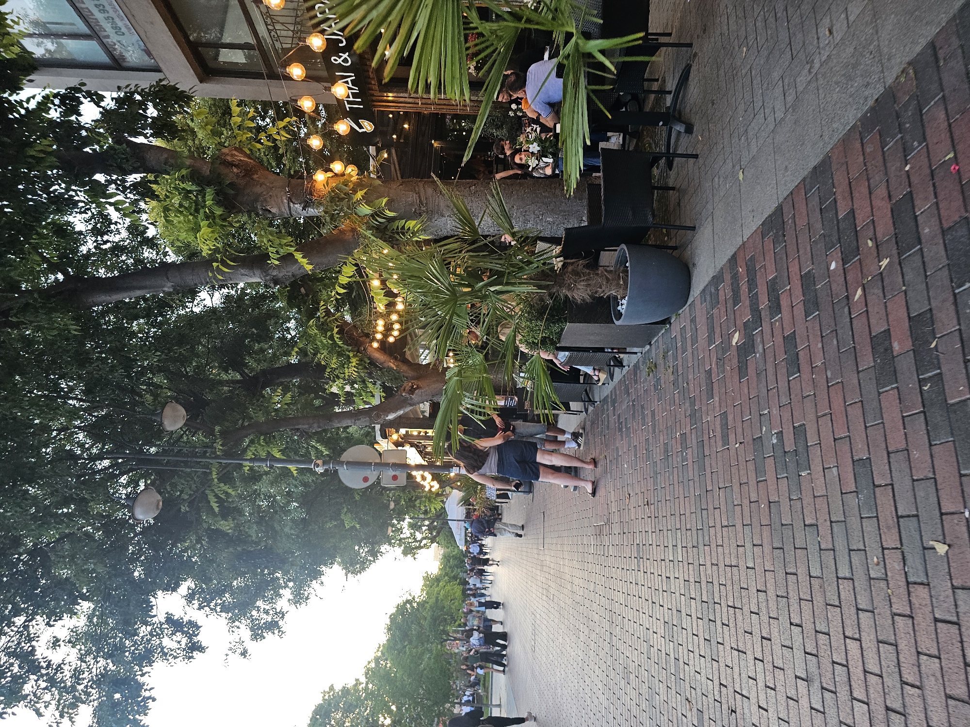 This is a full, eye-level shot of a pedestrian sidewalk lined with trees and outdoor seating for a restaurant. The sidewalk is paved with bricks in a pattern of red and gray. In the foreground, to the right, is an outdoor seating area with black tables and chairs, featuring a large potted palm. A woman in denim shorts and a gray tank top stands in the middle of the sidewalk, facing away from the camera, looking at the restaurant. She has dark hair and is wearing flip-flops. To her right, a man in a black shirt and shorts stands next to her, also facing the restaurant. Further down the sidewalk, more people are walking and sitting at tables. String lights hang from wires above the restaurant, which has a sign that reads "THAI & JAP". The trees provide shade over the sidewalk. The sky in the background is bright, suggesting it is daytime.