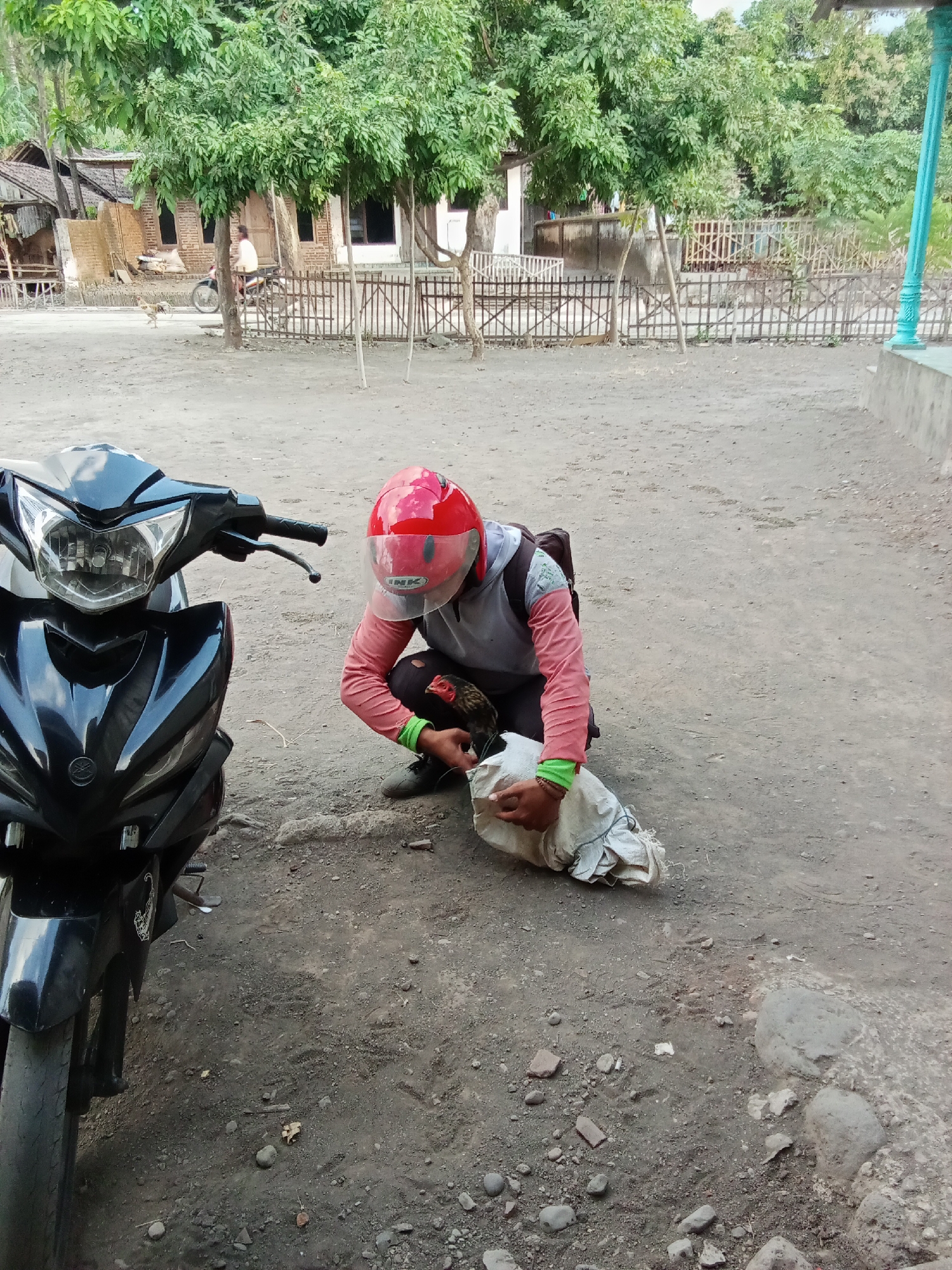 Memory
