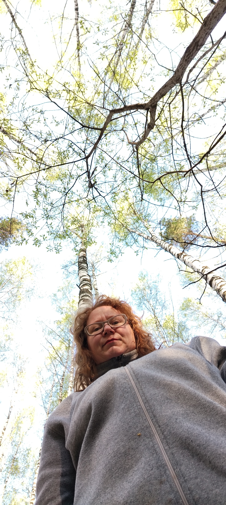 A low-angle shot features a woman with reddish-brown curly hair and glasses, wearing a gray zip-up jacket. She is looking down at the camera. Above and behind her are birch trees with sparse, light green leaves against a bright sky. The trees are slender and tall, their white bark marked with black stripes. The image appears to have been taken in a forested area. The location is Zipunovo, Russia.