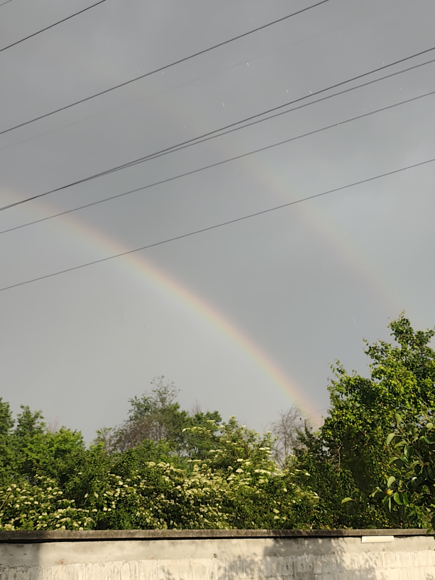 The image shows a double rainbow in Mosomishte, Bulgaria, above a lush green tree line and a grey brick wall. Overhead, power lines traverse the sky. The sky is overcast with grey clouds. No people are visible.