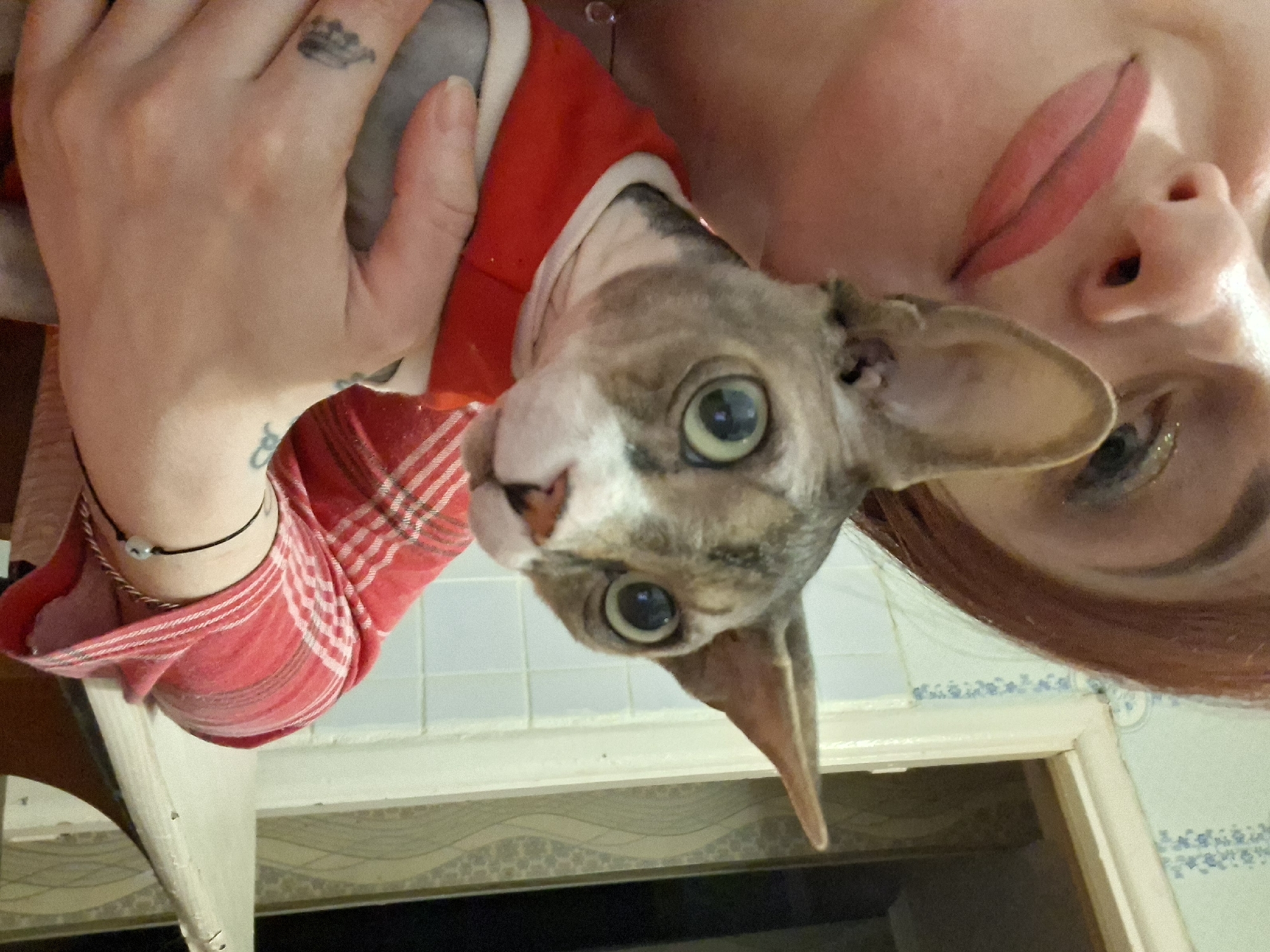 A woman, with reddish-brown hair and visible makeup, is holding a hairless cat. The cat, with large, wide eyes, is wearing a red garment with white trim. The woman's left hand, visible on the cat's chest, has a tattoo of a ship on her finger and another faint tattoo on her wrist. Her right arm is wrapped around the cat. The background appears to be an indoor setting with a tiled wall and a doorway. The lighting suggests it is indoors. The overall scene depicts a close interaction between the woman and the cat.