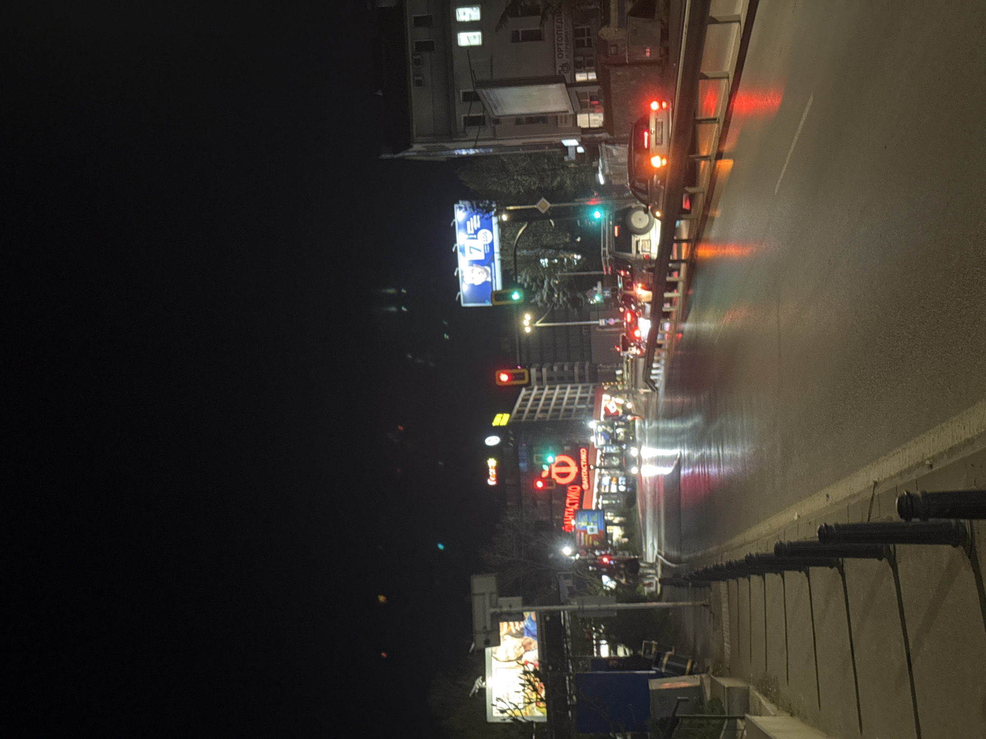 This is a nighttime photograph of a busy street in Sofia, Bulgaria, captured with a vertical orientation. The scene depicts an urban landscape under the dark sky, brightly illuminated by artificial lights. The road surface appears wet, reflecting the numerous red brake lights of cars, green and red traffic signals, and other urban illuminations, suggesting recent rain or damp conditions.
On the right side of the image, a multi-lane road is visible, populated with vehicles, some with their brake lights activated. Streetlights cast a glow over the asphalt. To the left, a sidewalk features a row of dark, decorative posts or bollards that recede into the foreground.
Buildings line both sides of the street, many displaying illuminated windows and commercial signs. Prominent among these is a large, vibrant red sign with the word "ФАНТАСТИКО" (Fantastico) and a stylized 'e', identifying a major supermarket chain. Further up the street, on a building, another sign in Cyrillic reads "ОРТОПЕДИЯ И ТРАВМАТОЛОГИЯ" (Orthopedics and Traumatology). Several billboards are also visible, one clearly showing people and the number "7", while others are less distinct. The overall impression is a lively and active city street scene after dark.