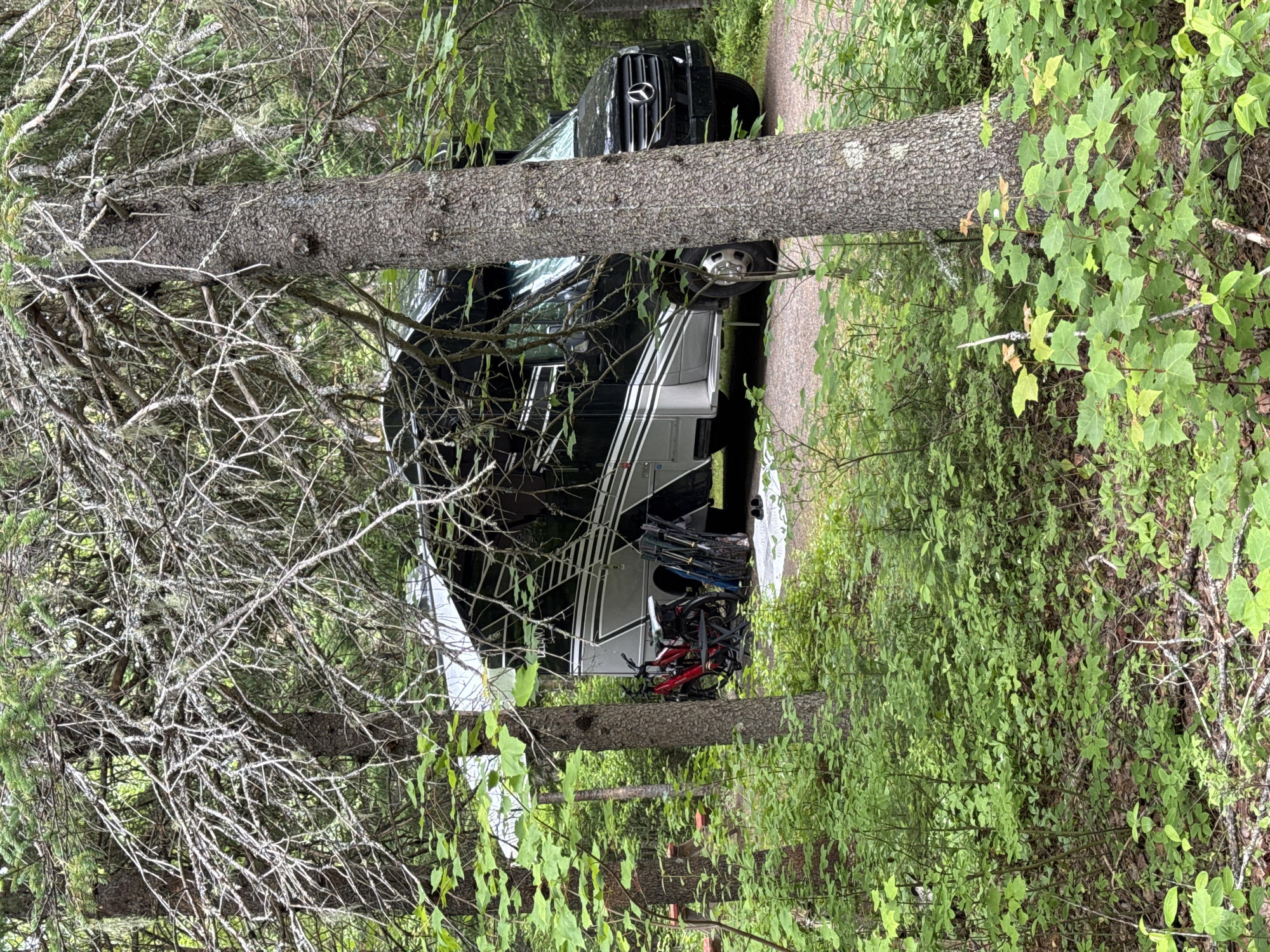 The image shows a black Mercedes-Benz camper van parked next to a large RV in a wooded area. The vehicles are parked on a dirt road or path, surrounded by lush green foliage and tall trees. A thick tree trunk runs horizontally across the foreground, partially obscuring the view of the vehicles.
Several bicycles are leaned against the RV, suggesting an outdoor recreational activity. The scene appears to be set during the daytime, with diffused light filtering through the trees, indicating potentially overcast weather or a densely wooded area. The overall atmosphere is serene and suggests a campsite or a quiet natural setting. No people are visible in the image. There is no visible text in the image.