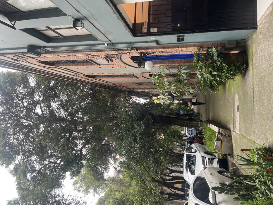 The scene depicts a tree-lined urban street, characteristic of central Mexico City neighborhoods like Colonia Roma Norte or Condesa, under an overcast sky.
**Environment:** A concrete sidewalk runs along the right side of the image, showing signs of moss or discoloration. A narrow strip of unkempt vegetation, including succulents and small plants, separates the sidewalk from the street. Numerous mature trees with dense green foliage line the left side of the street, forming an overhead canopy. Several parked passenger vehicles, including a white sedan and a white SUV in the foreground, occupy the left side of the street.
**Buildings:** On the right, a two-story building with a light blue-grey facade features a large dark entrance, possibly a gate or garage opening, with the number "35" affixed nearby. Above this entrance is a barred window and an exterior light fixture. Adjacent to this, a multi-story building constructed of reddish-brown brick with grey mortar features multiple arched windows fitted with dark metal grates. Visible on the brick facade are electrical conduits, several dark security cameras, a bright blue vertical accent, and a spherical white light fixture. Potted plants, including large-leafed species, are positioned on the sidewalk in front of these buildings.
**People:** One individual, an adult female, is walking away from the viewer on the sidewalk, towards the background. She is wearing dark trousers and a light-colored top, carrying a dark bag over her shoulder.
**Objects and Details:** Utility lines are visible against the sky among the tree branches. A small, broken concrete planter or barrier is present on the left edge of the sidewalk near the parked cars. A blue street sign is partially visible further down the sidewalk on the left.